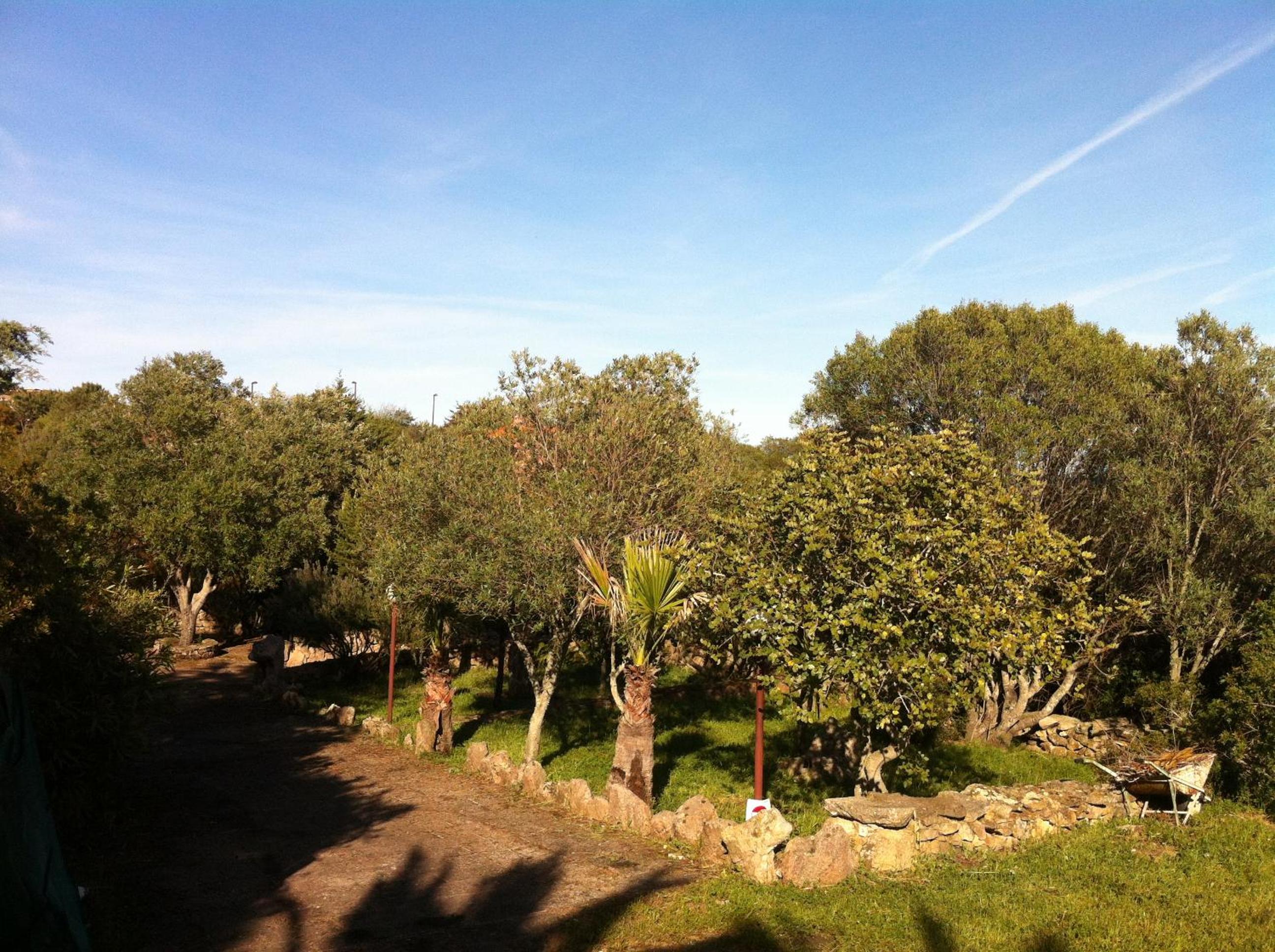 Photo 43