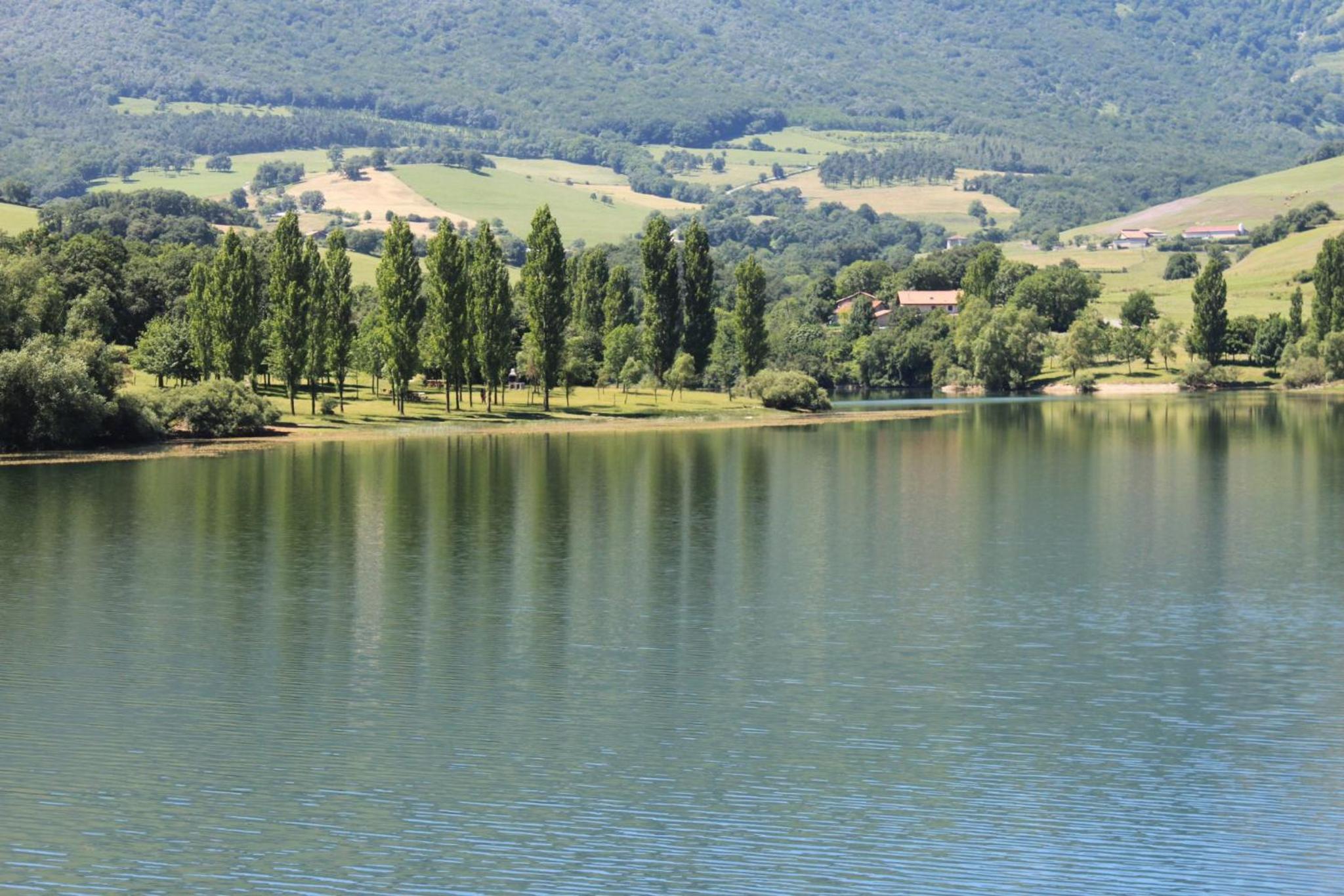 Photo 41