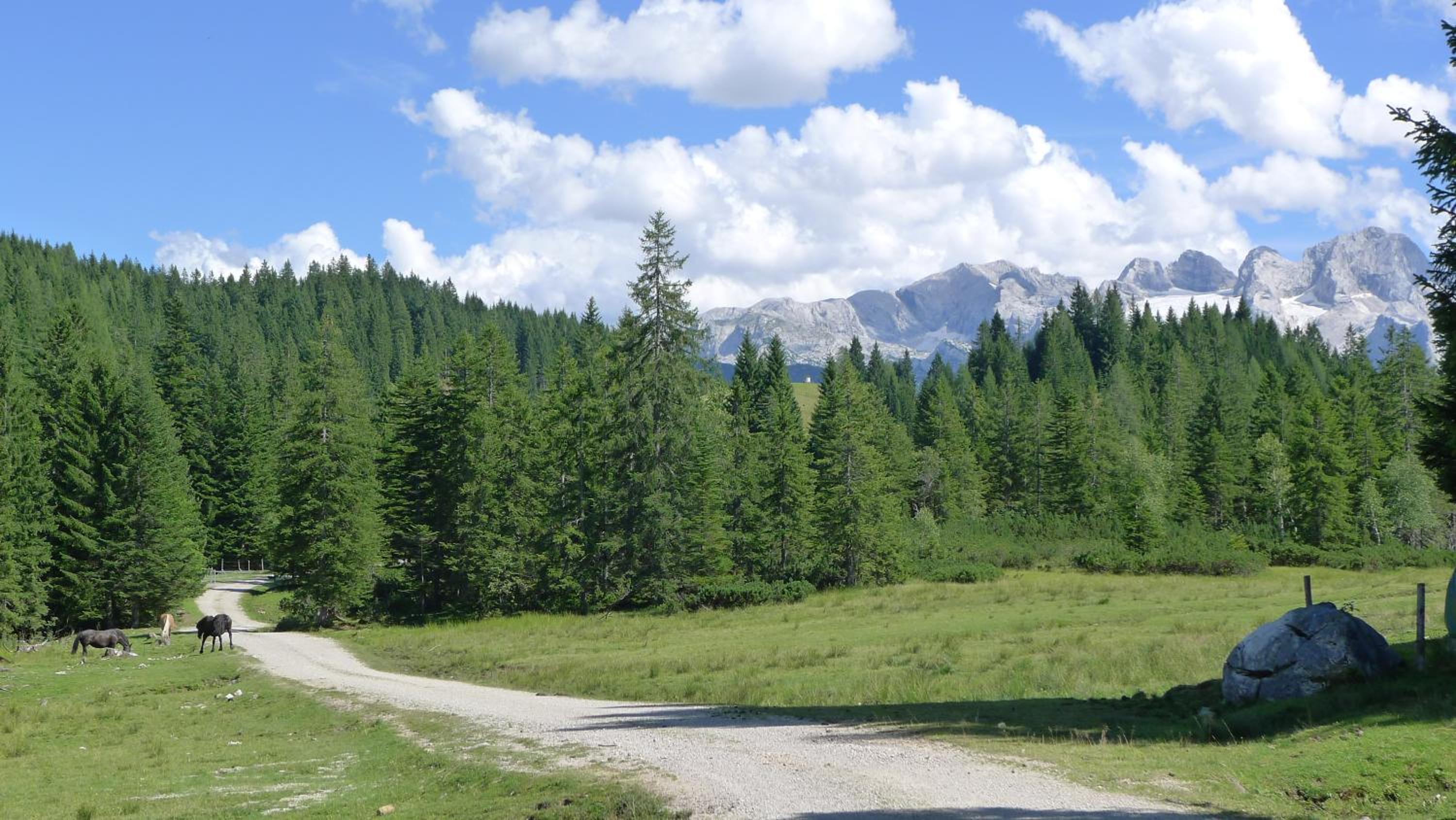 Alpenhaus Dachstein.Zauber