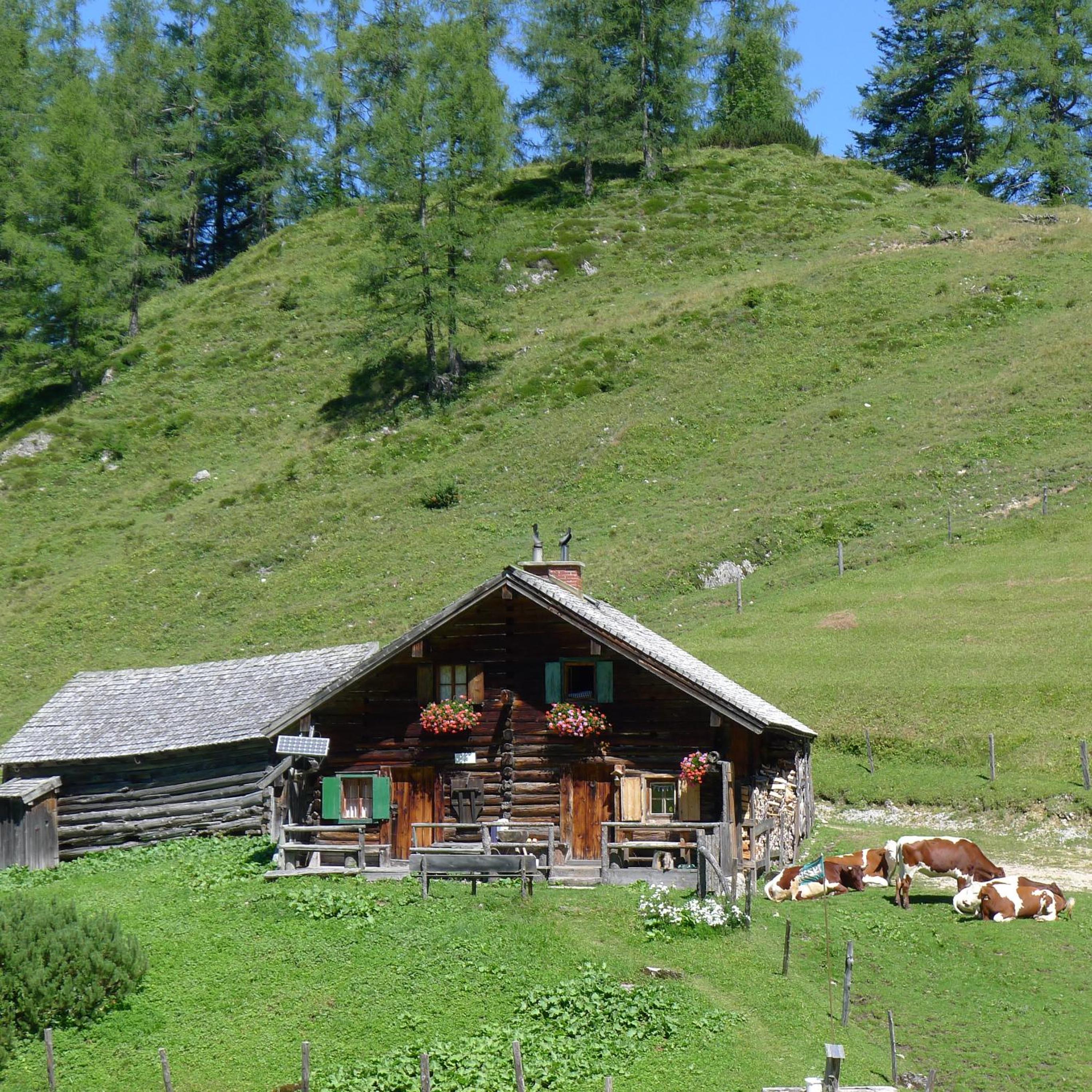 Alpenhaus Dachstein.Zauber