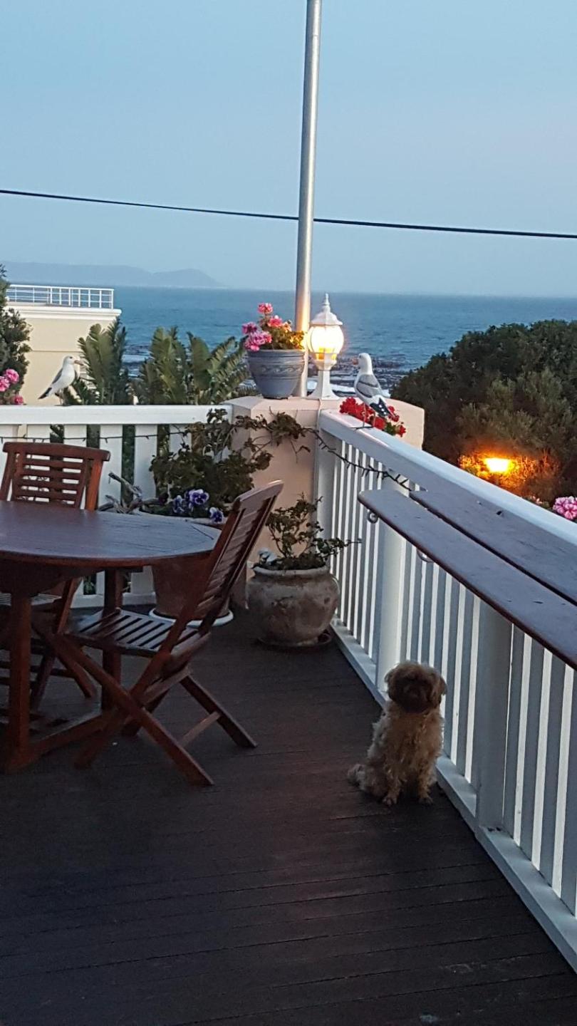 Belle Vue Guesthouse