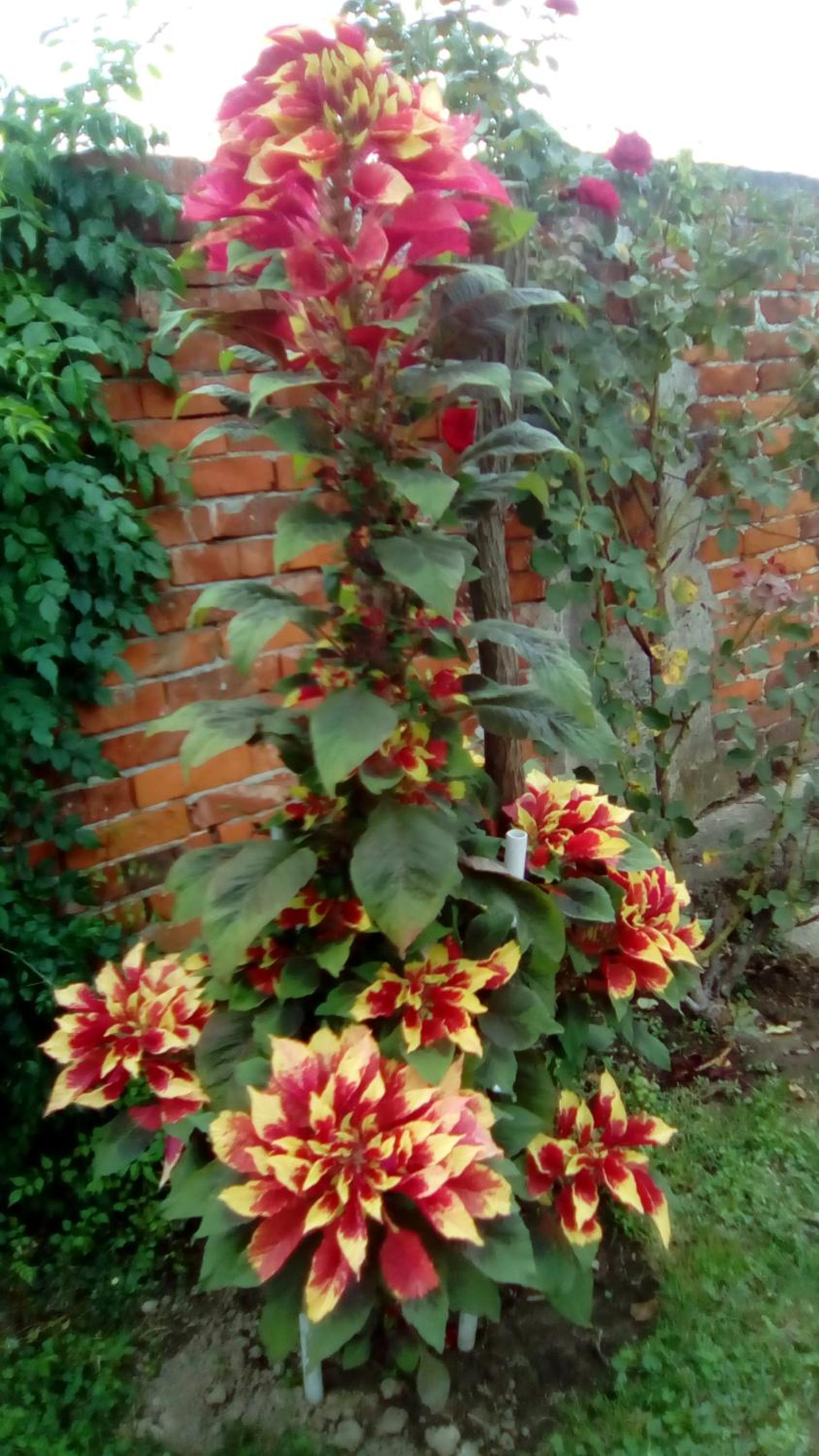 Photo 9