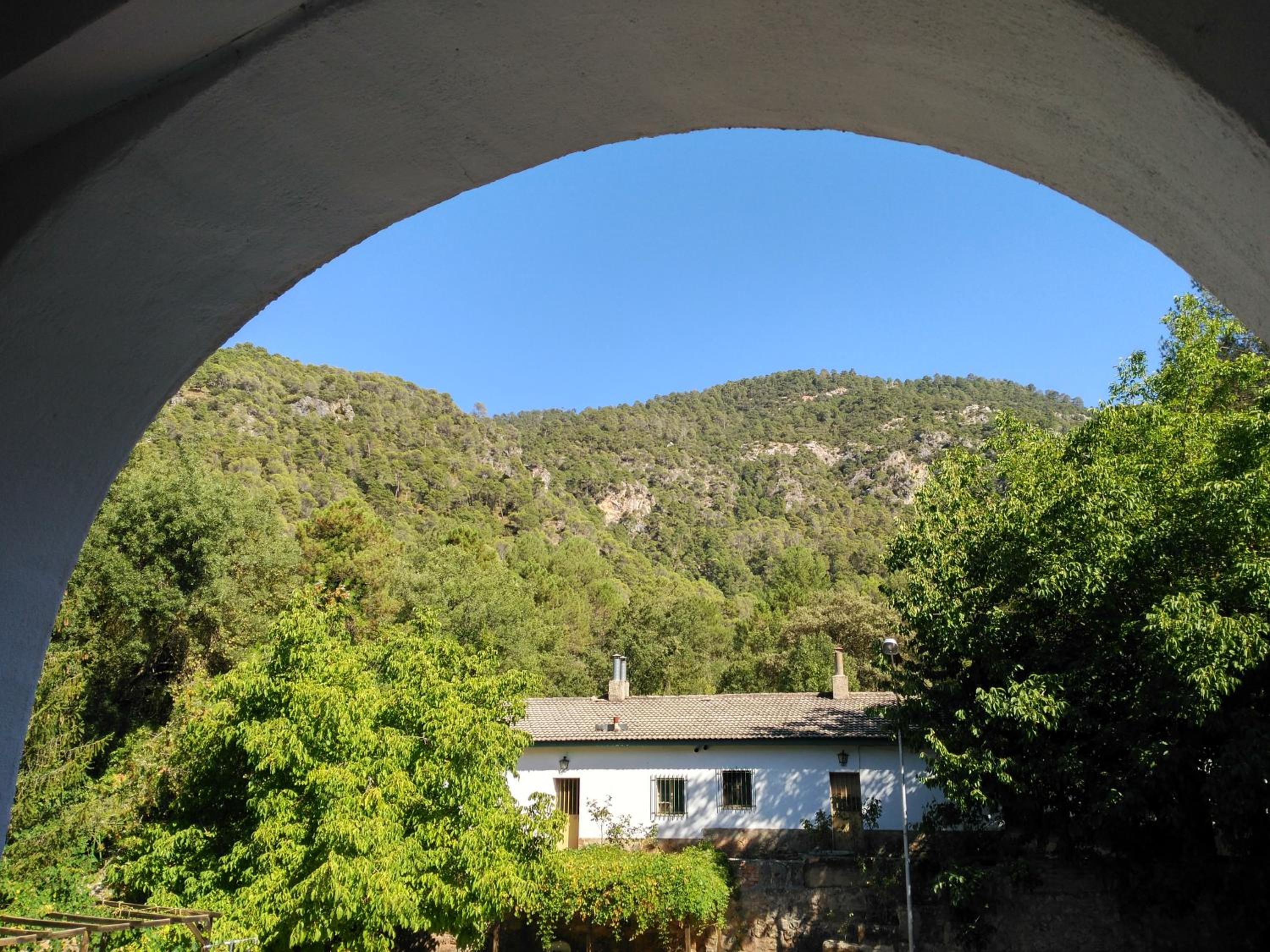 Photo 41
