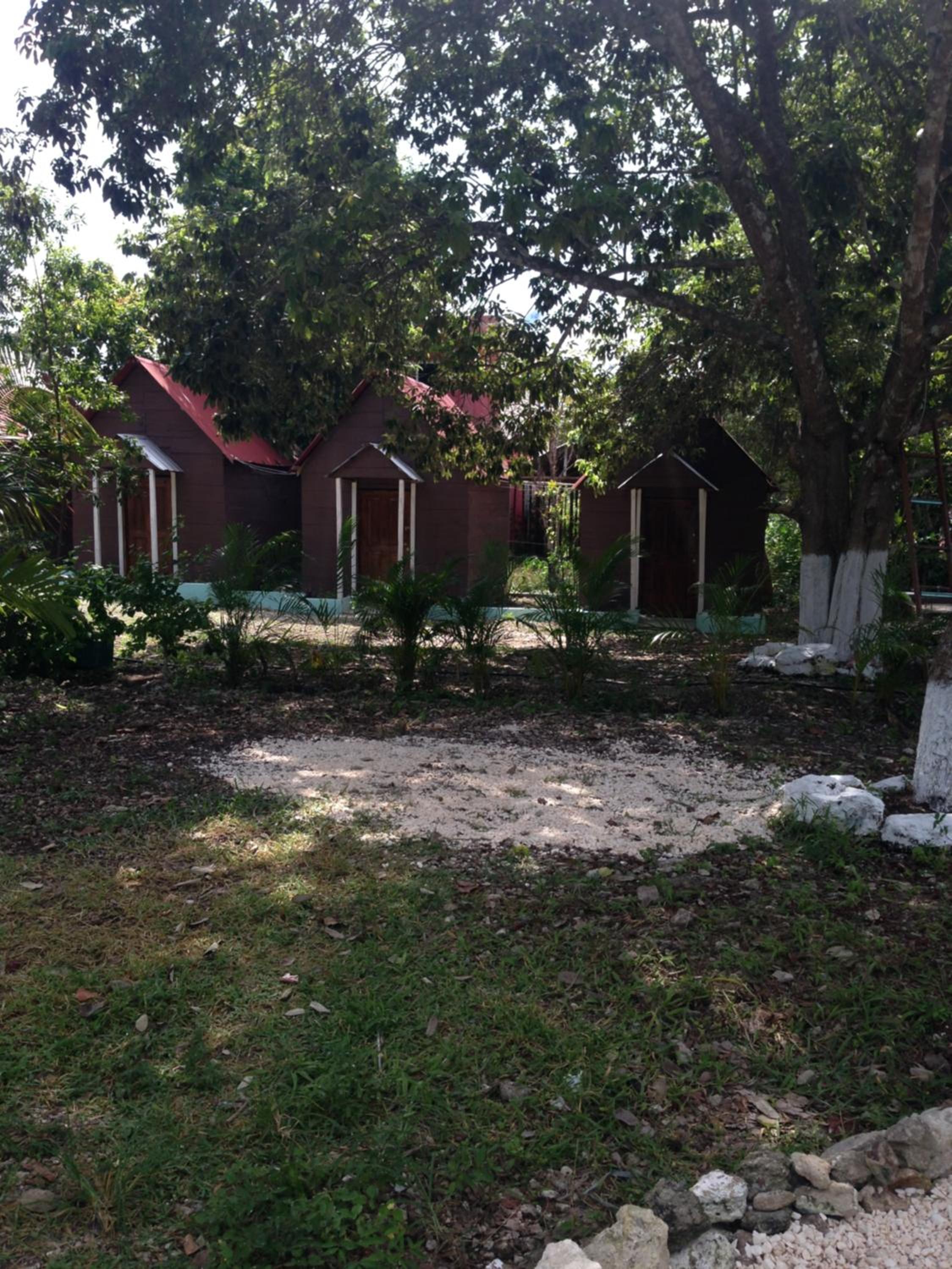 Photo 52
