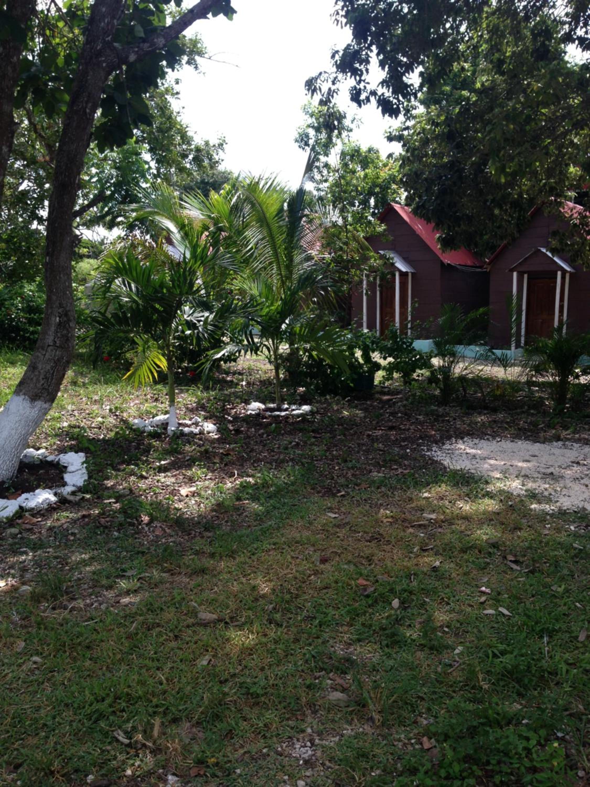 Photo 53