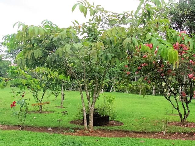 Posada Rural Oasis