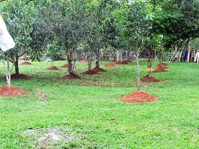 Posada Rural Oasis