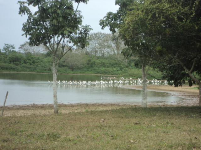 Posada Rural Oasis