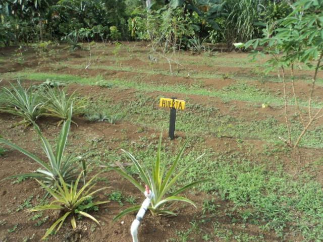Posada Rural Oasis