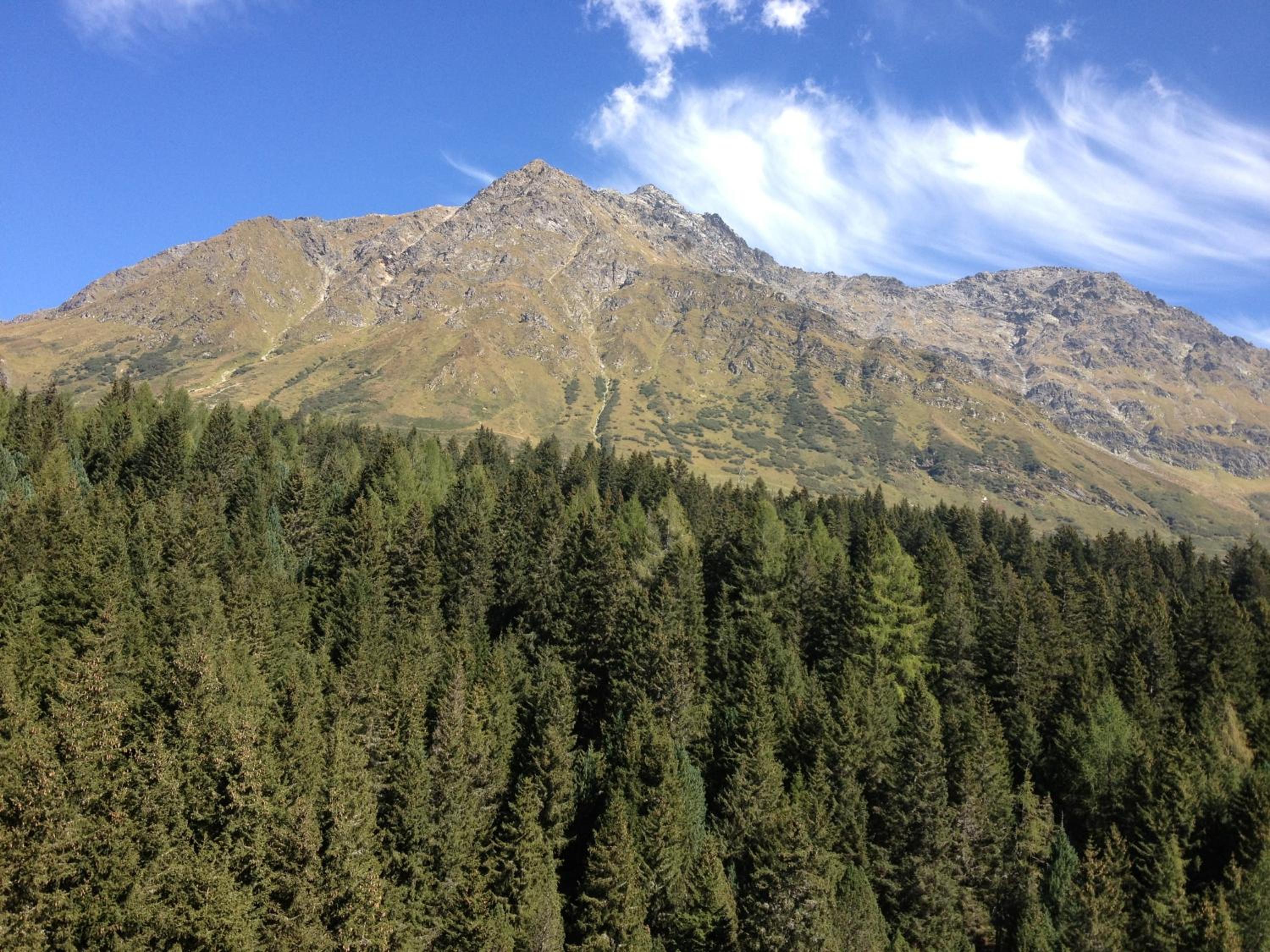 Appartamenti Panorama
