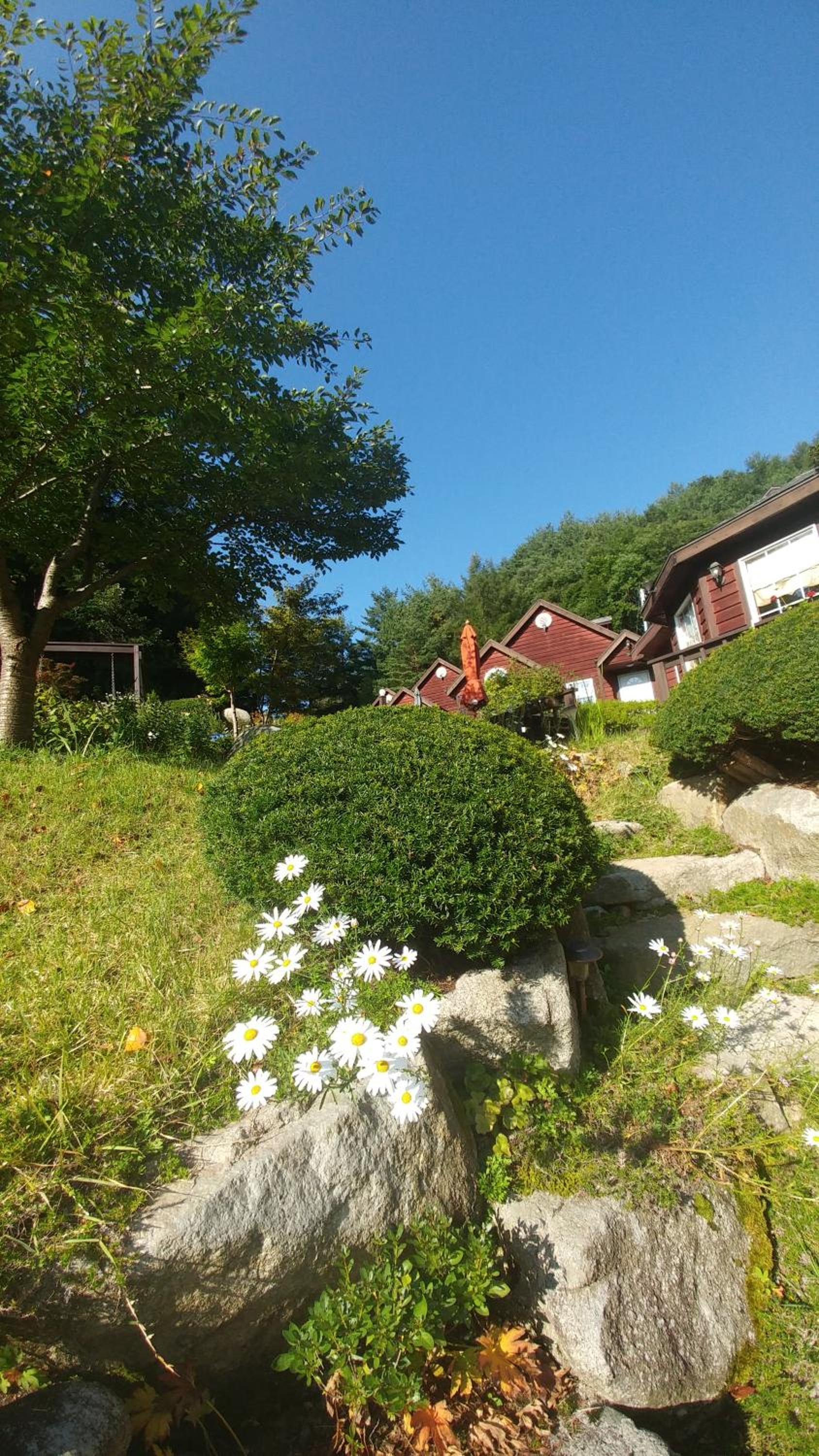 Sisilli Pension, Pyeongchang - 8