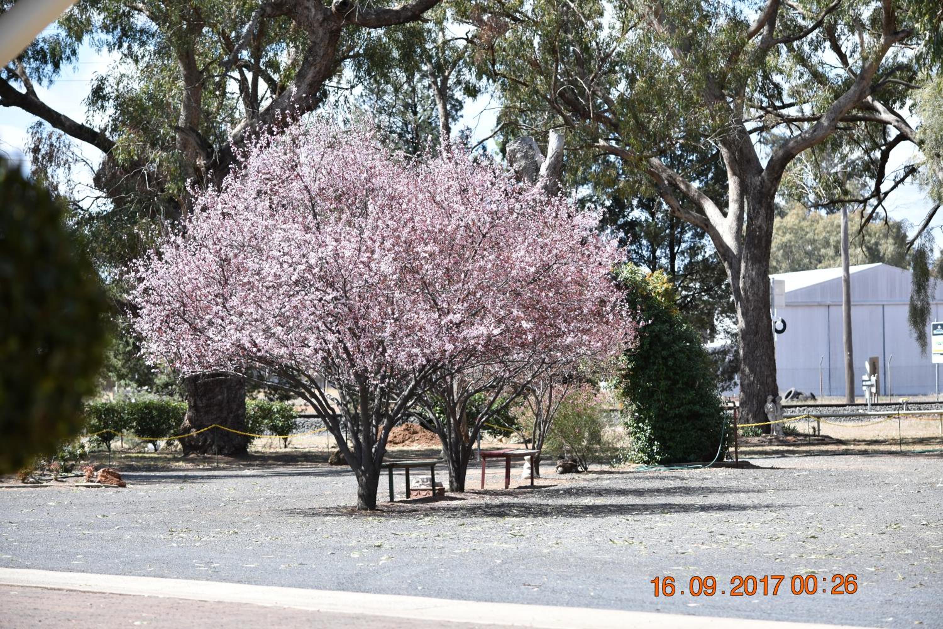 Photo 35