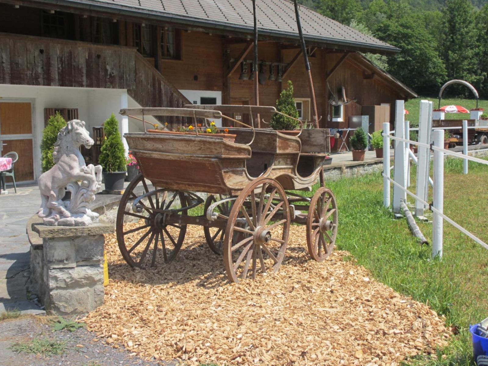 Eichhof Brienzwiler Berner Oberland