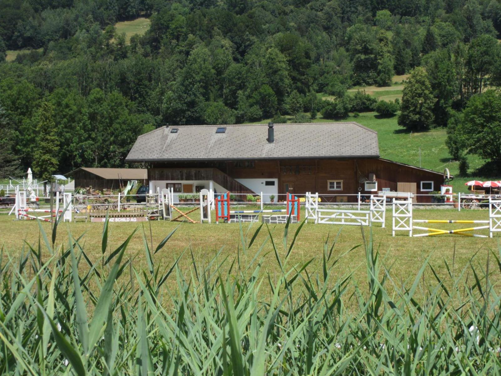 Eichhof Brienzwiler Berner Oberland
