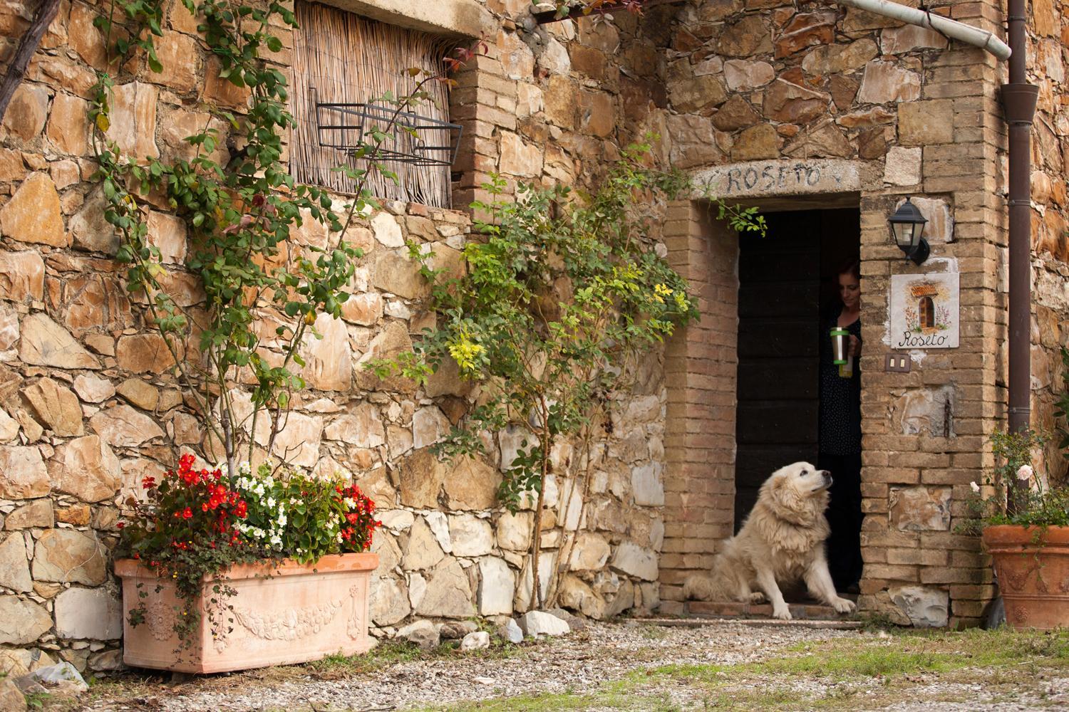 Wine Resort Colsereno