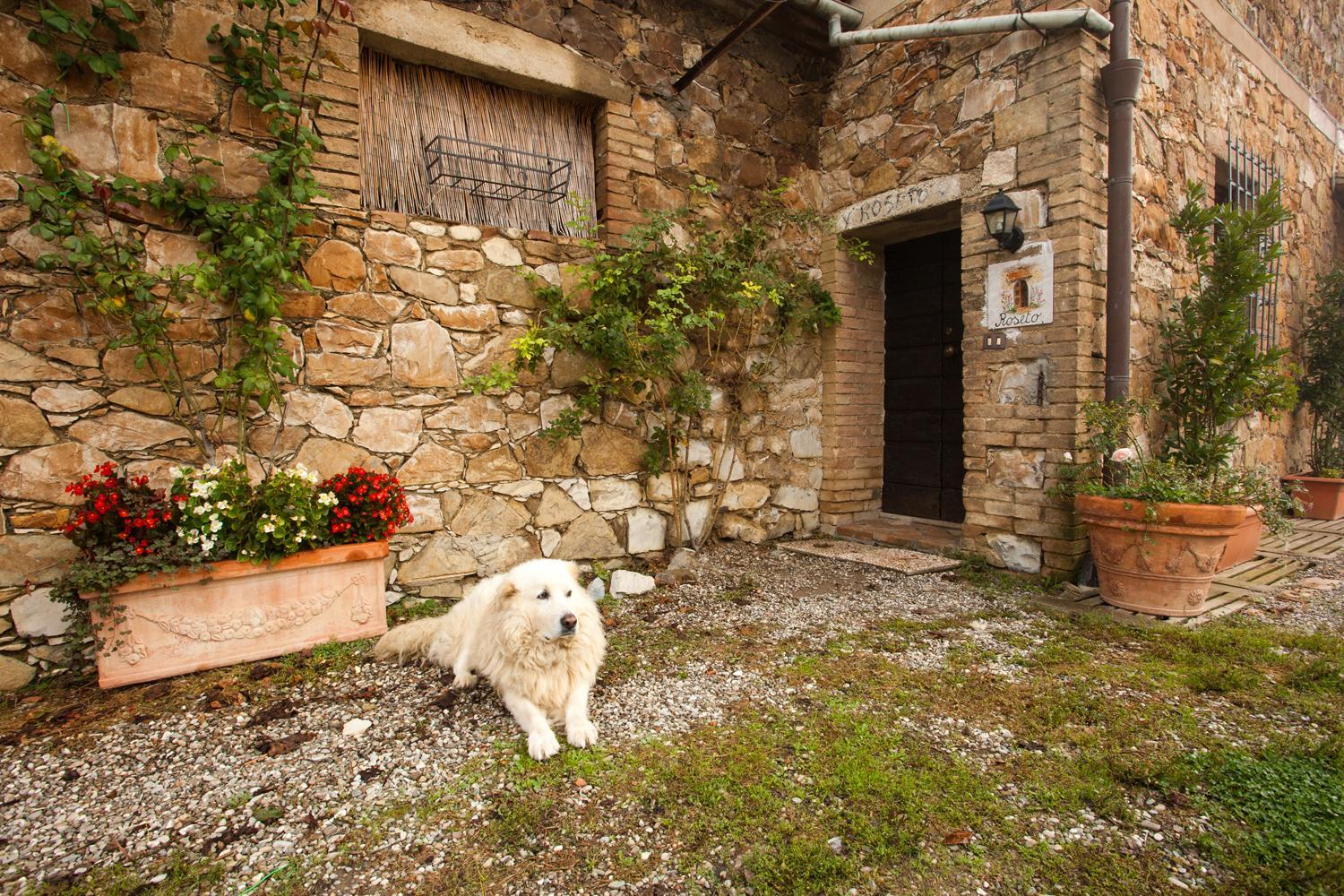 Wine Resort Colsereno