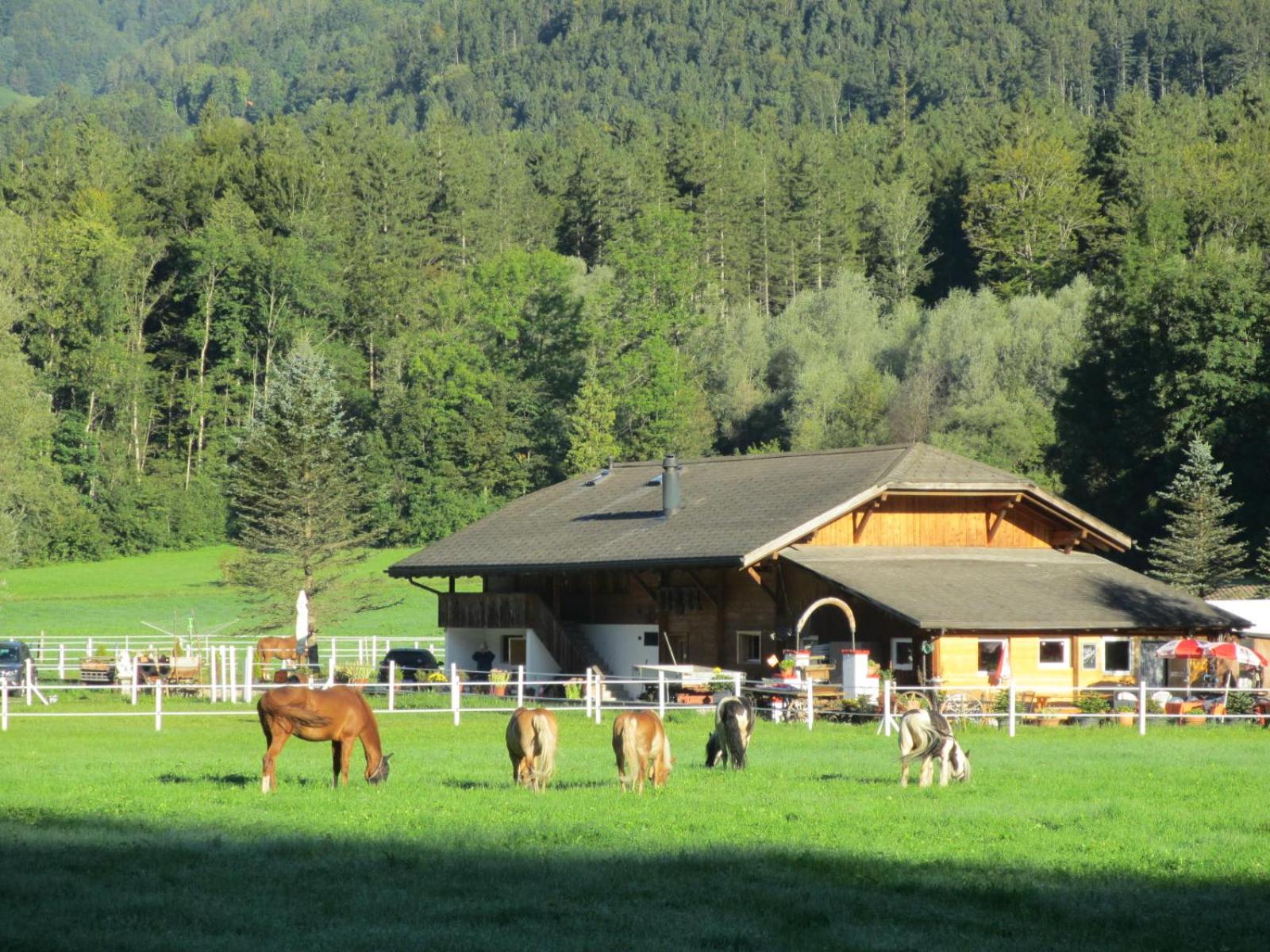 Eichhof Brienzwiler Berner Oberland