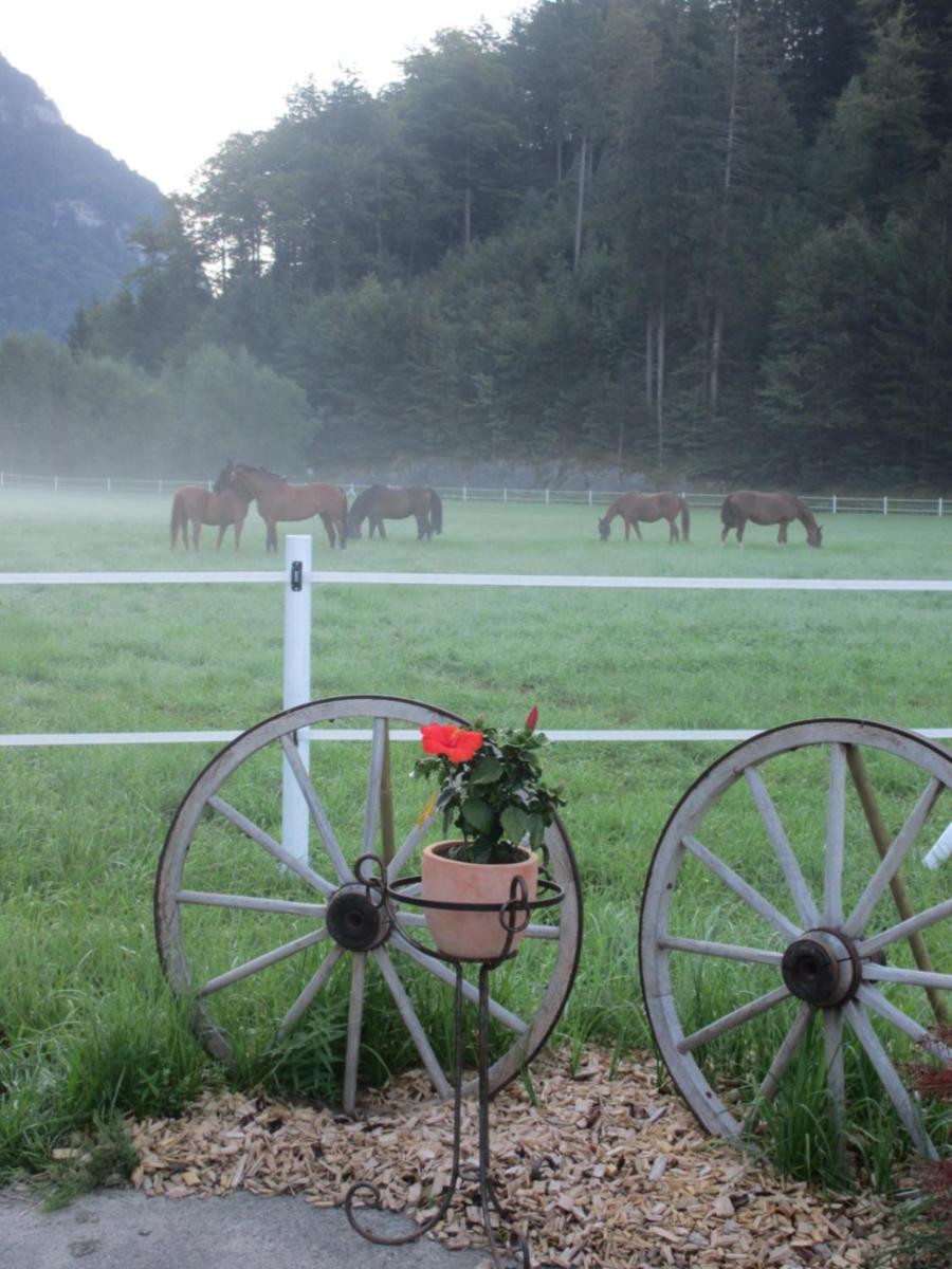 Eichhof Brienzwiler Berner Oberland