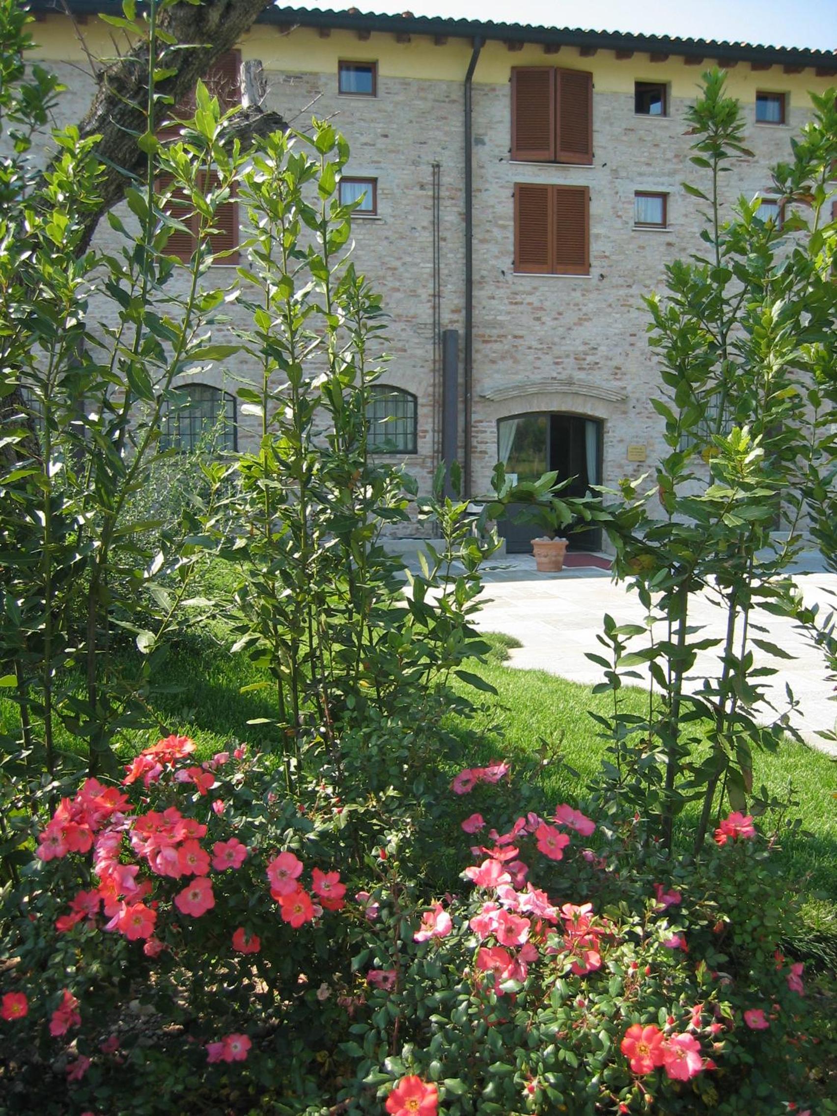 Photo 11