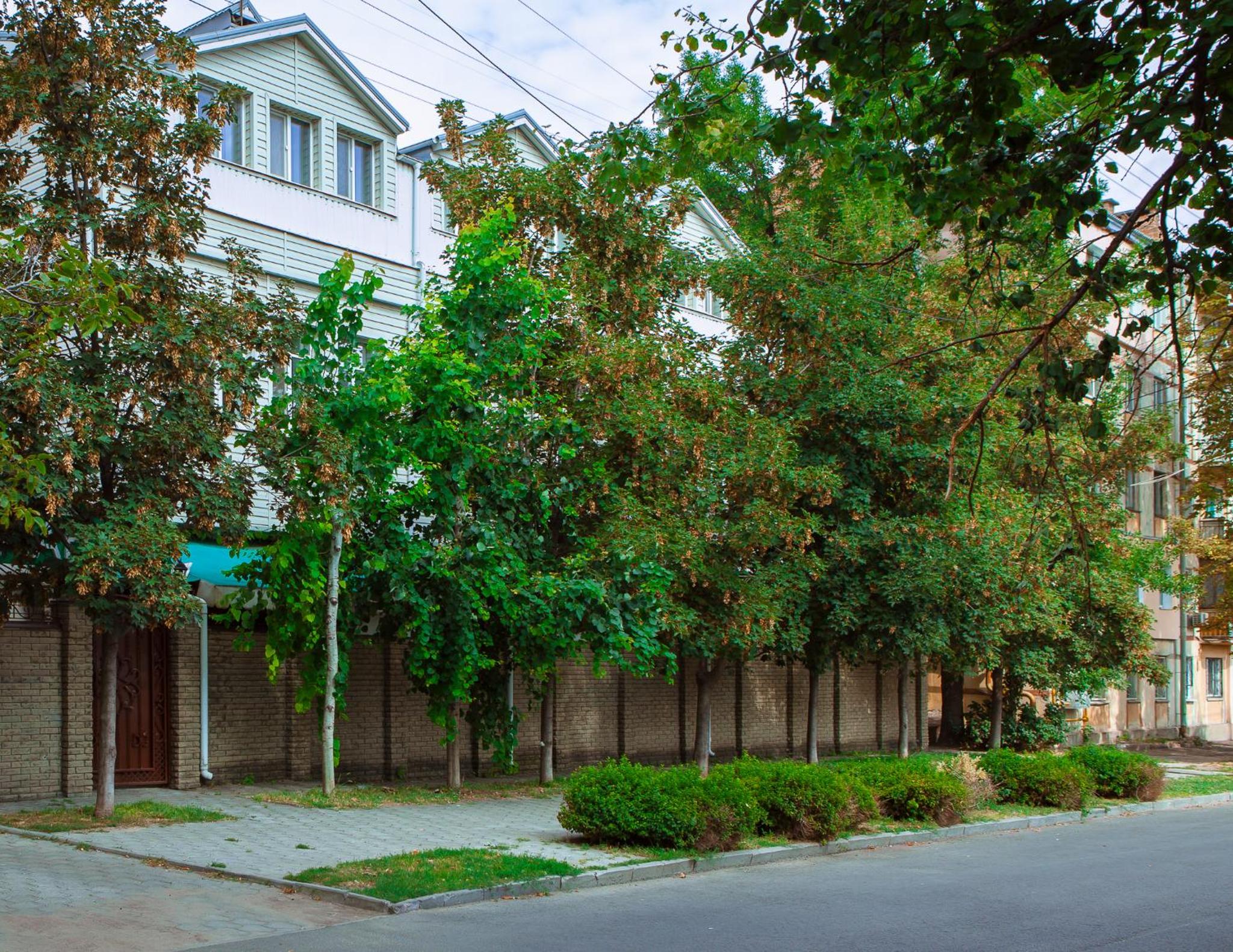 Photo 31