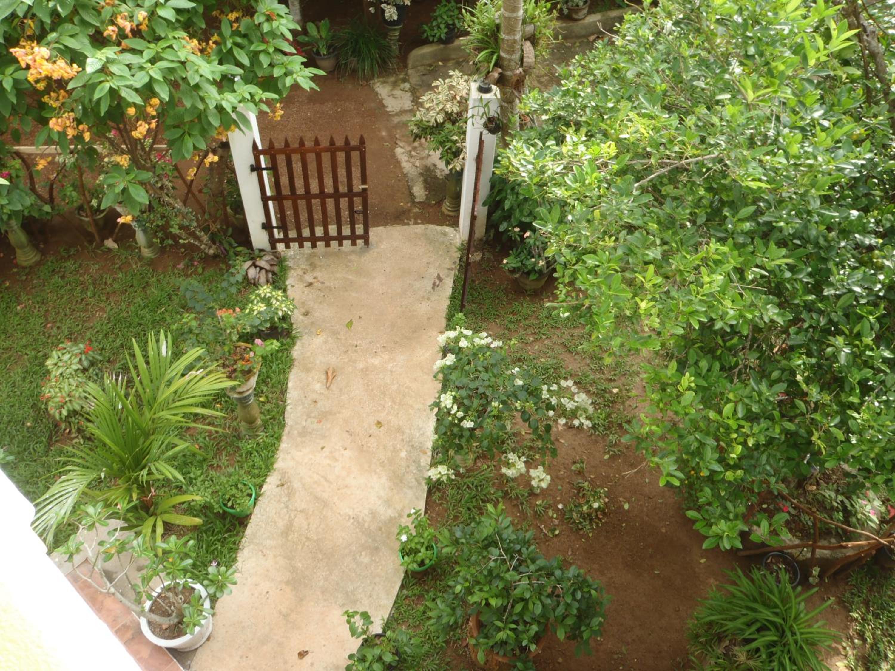 Photo 7