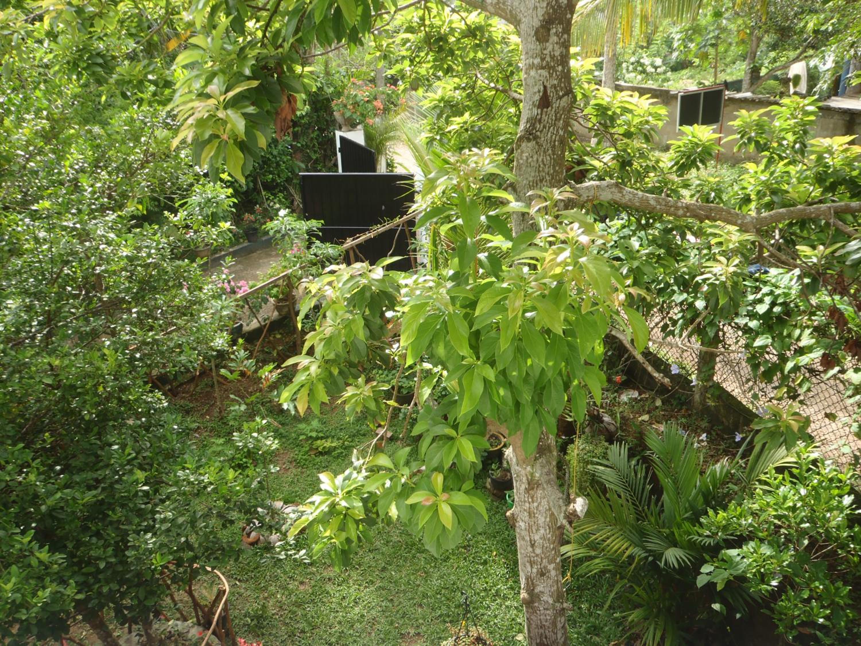 Photo 47