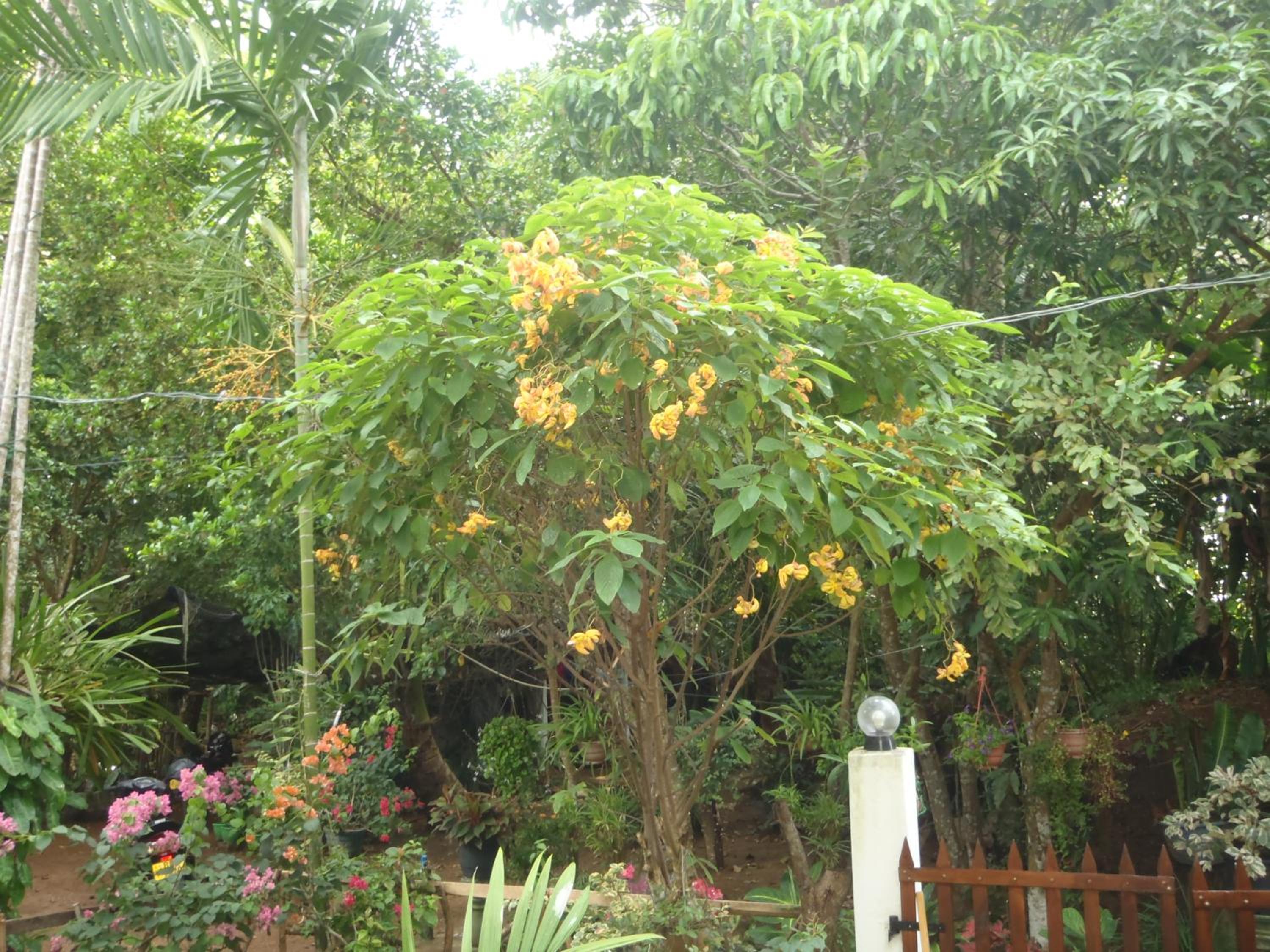 Photo 30