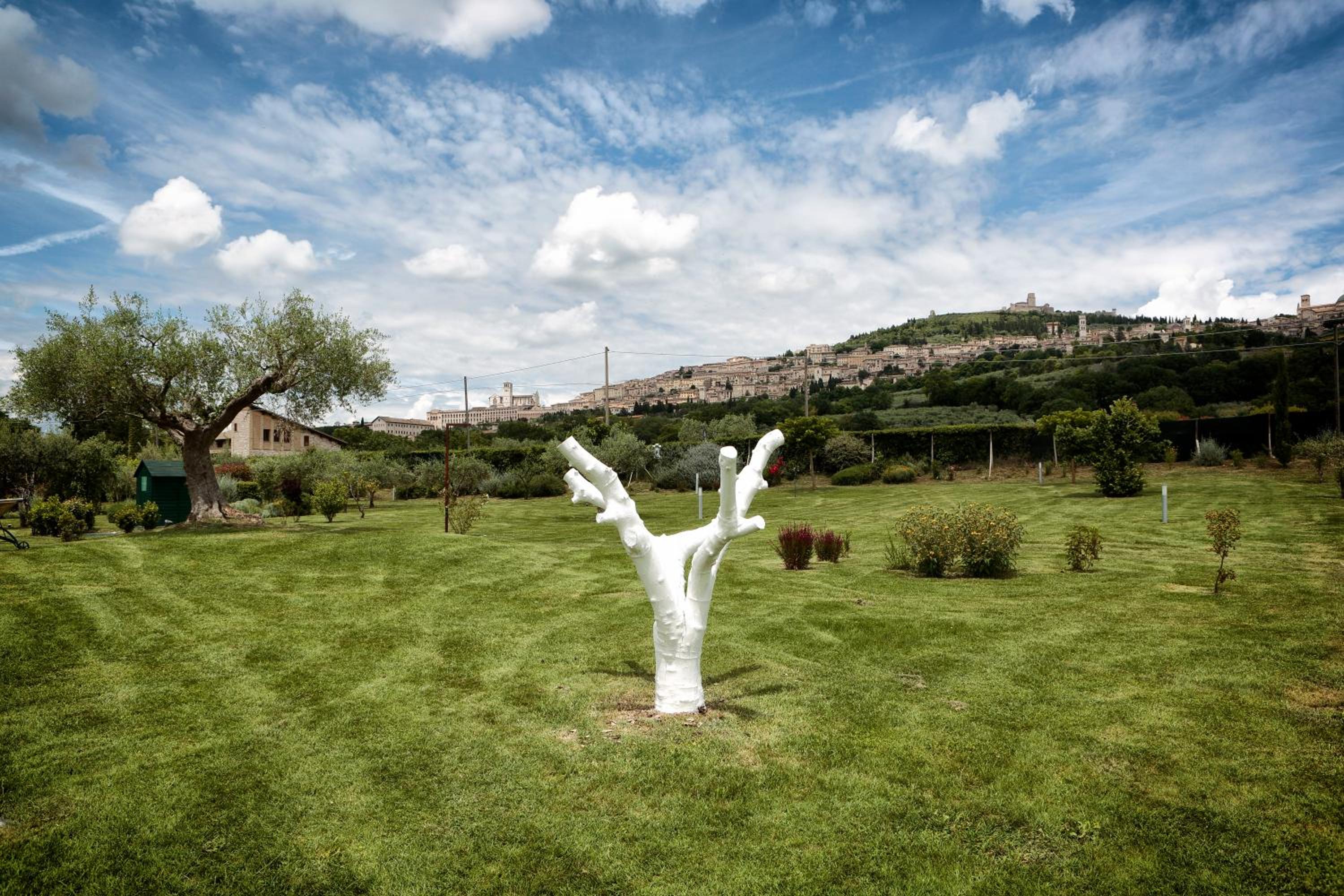 Tenuta San Masseo - boutique farm resort & SPA