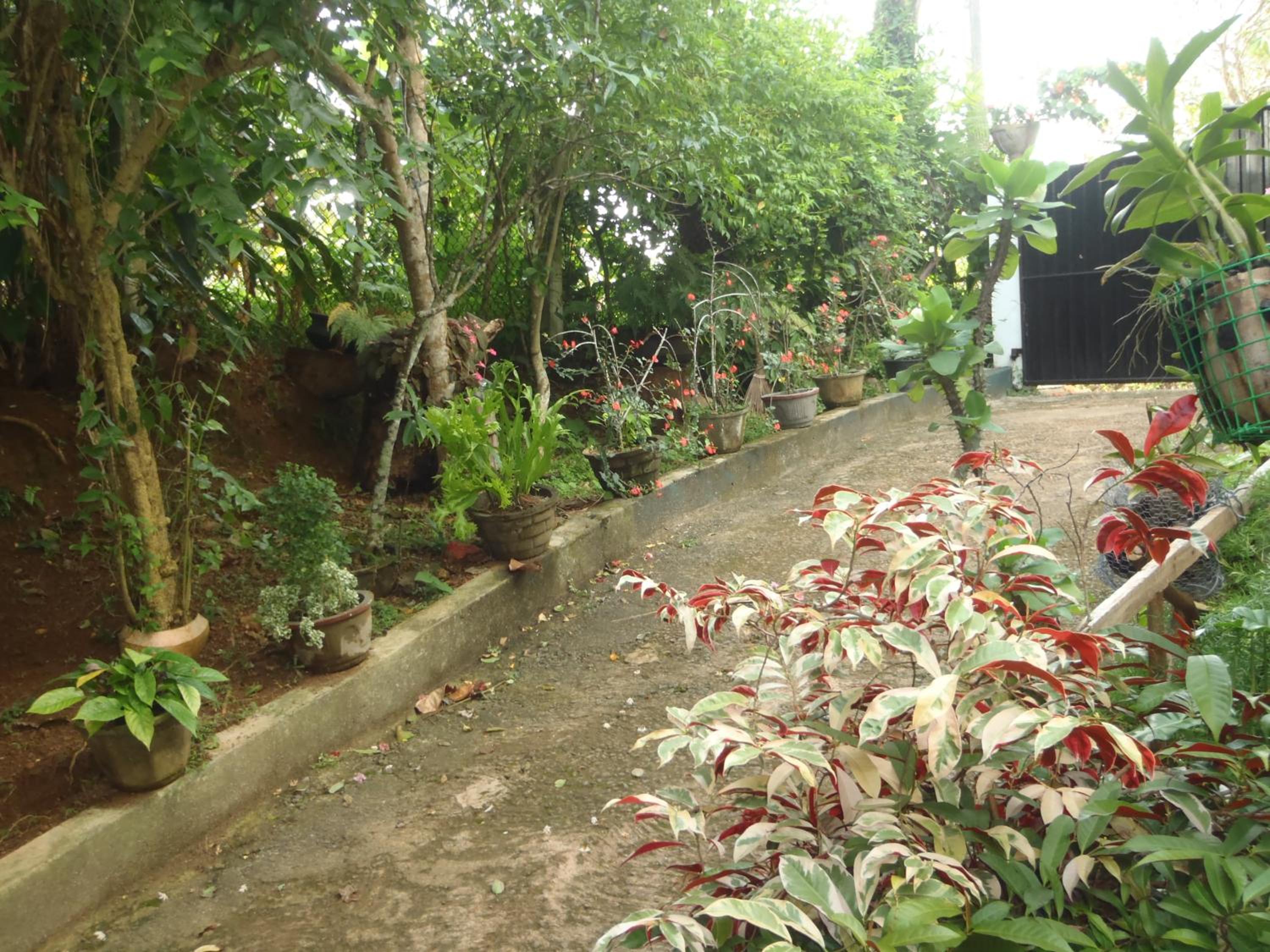 Photo 12