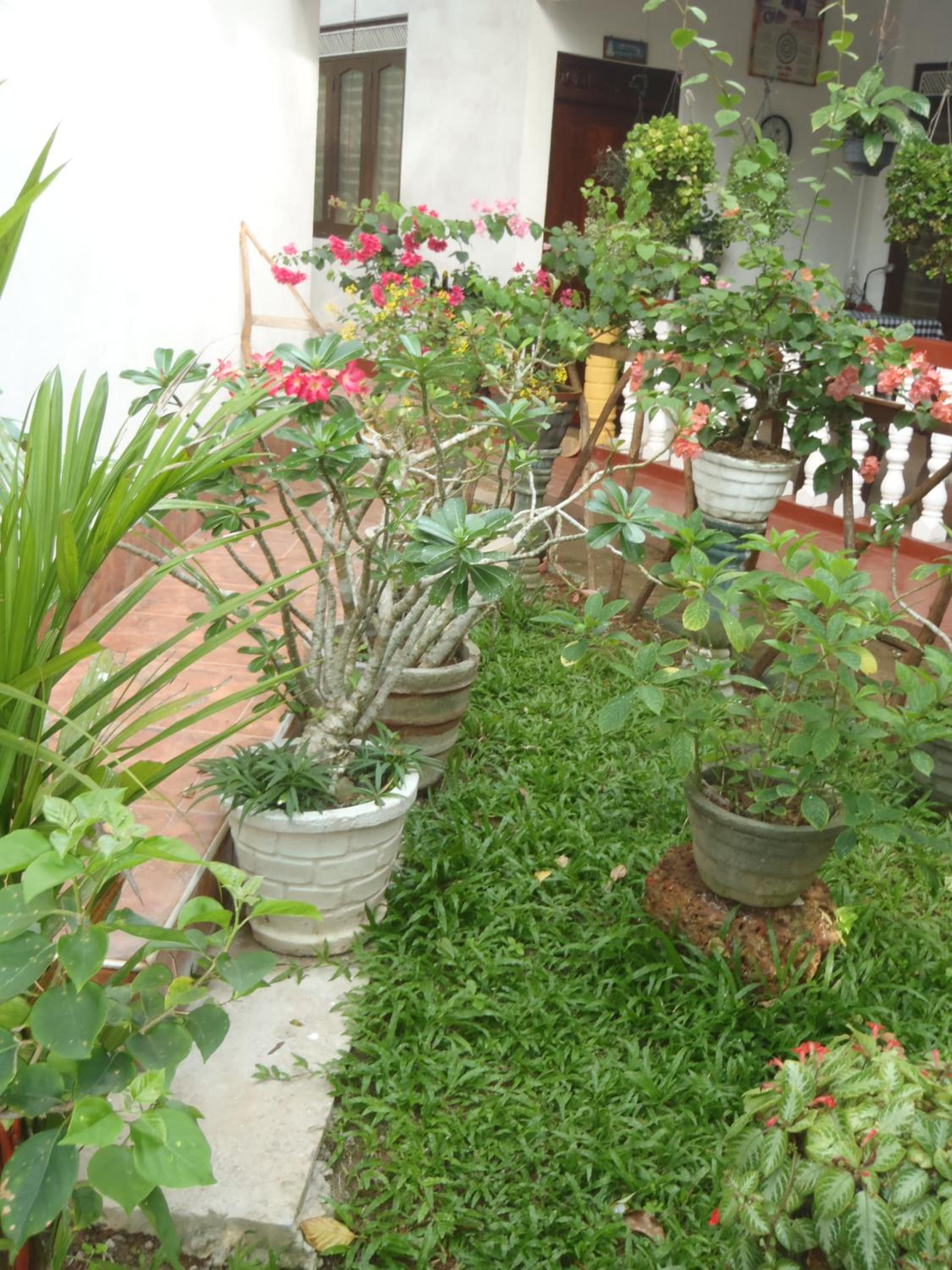Photo 13