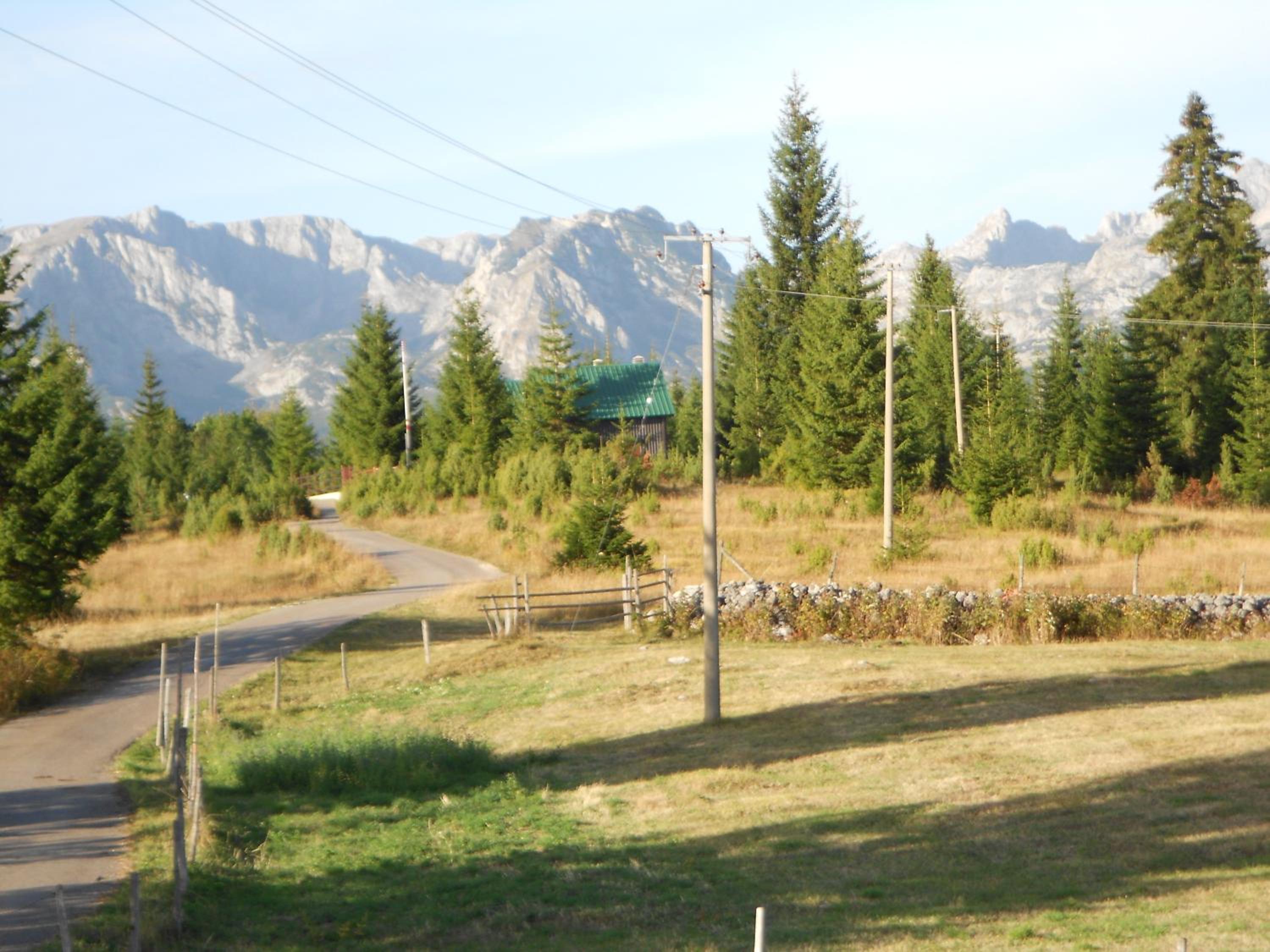 Photo 8
