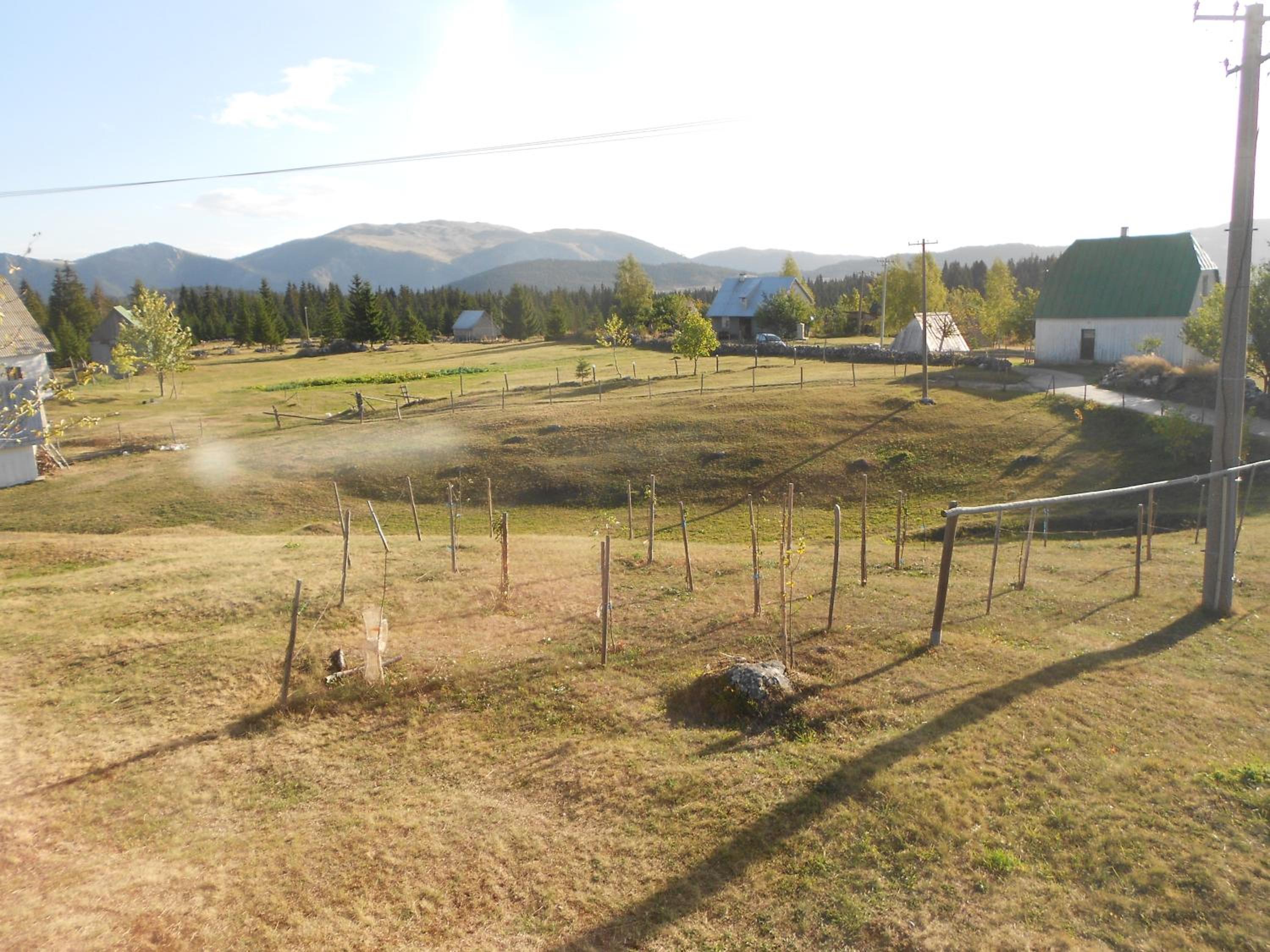Photo 9