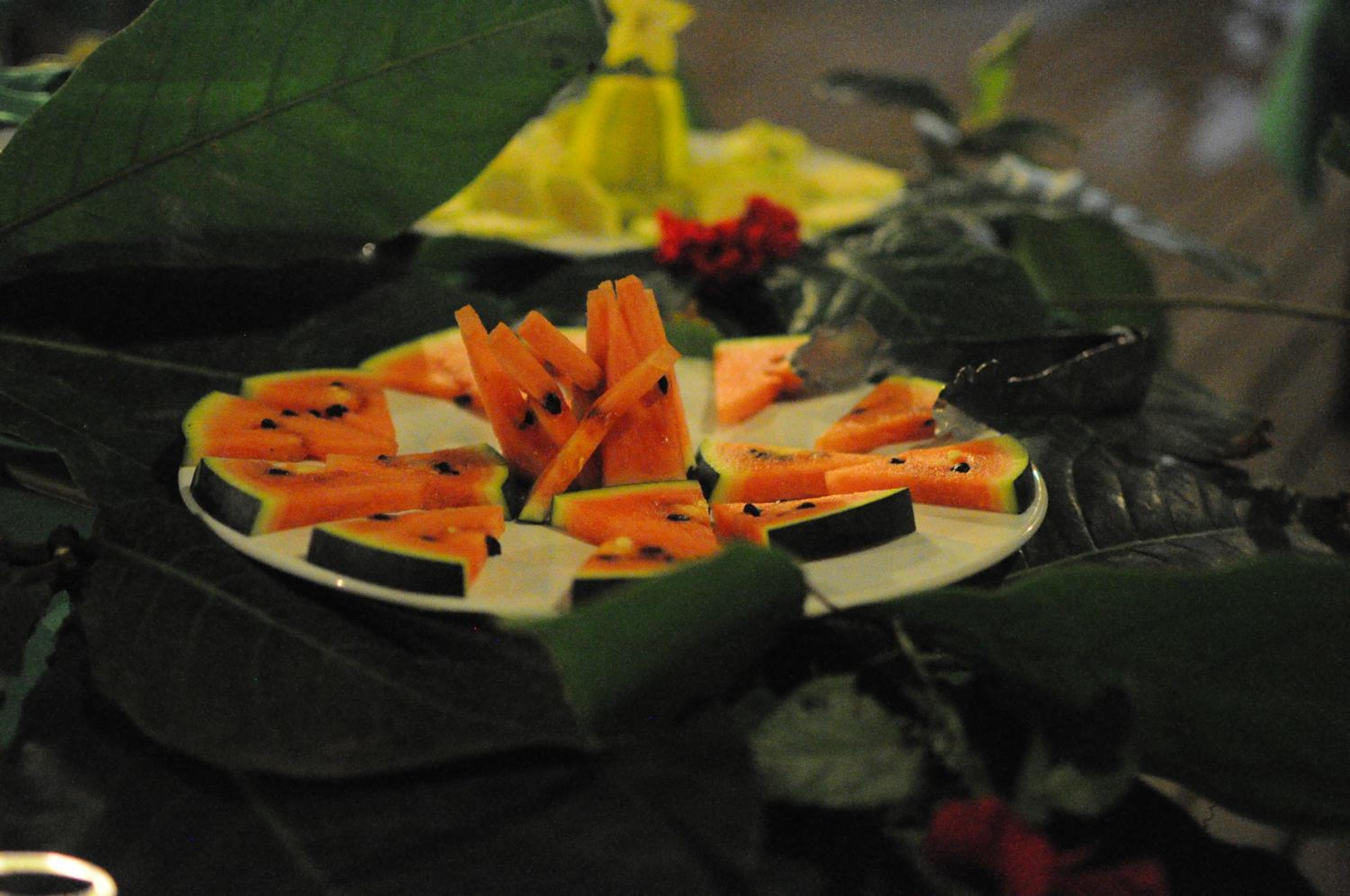 Photo 40
