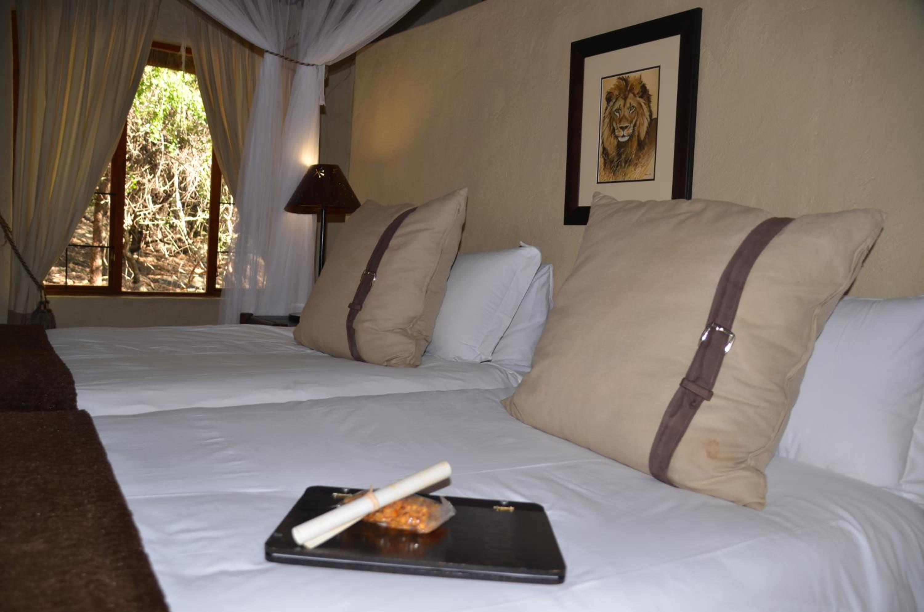 Moholoholo Forest Camp view 4