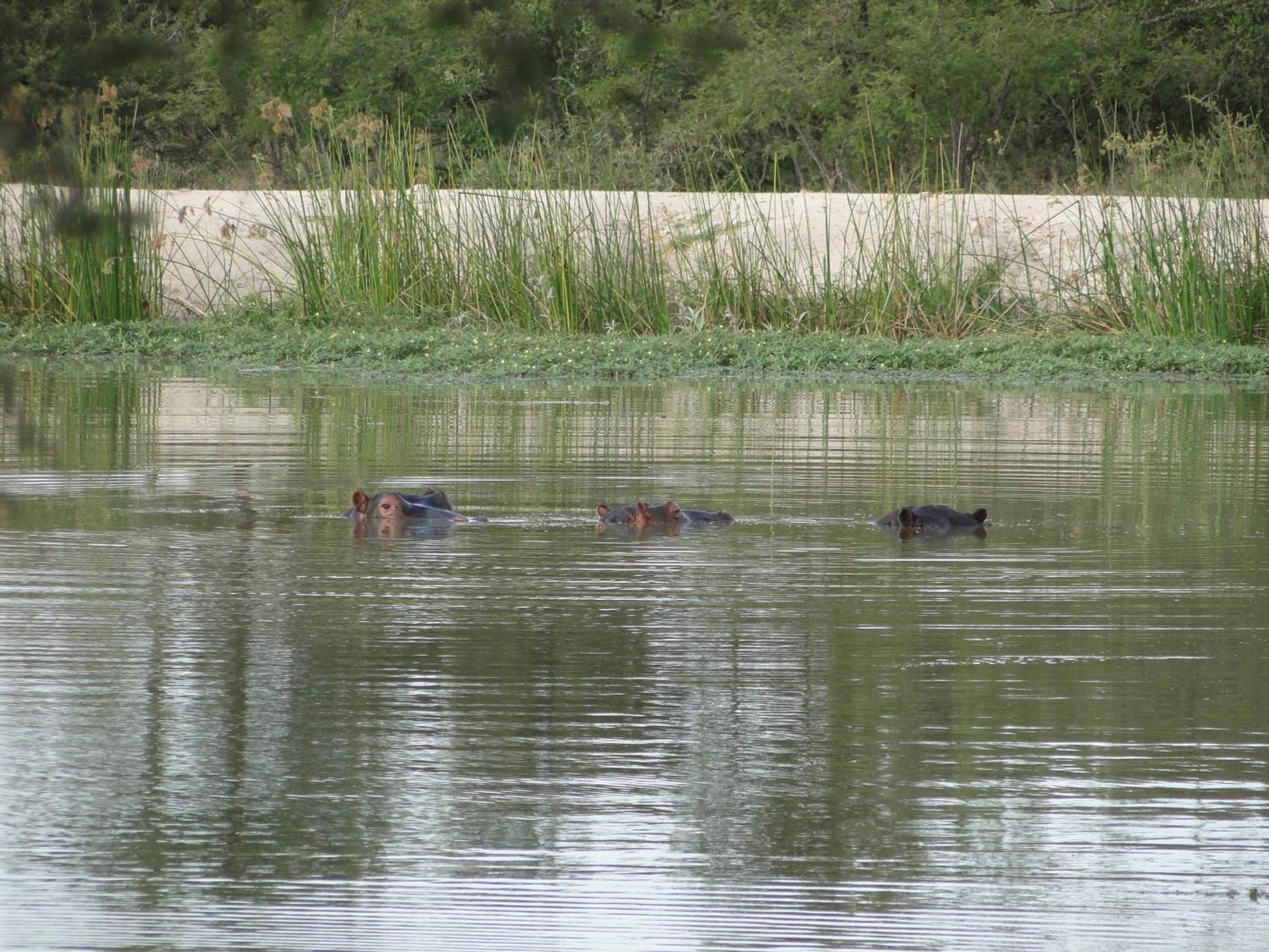 Photo 24