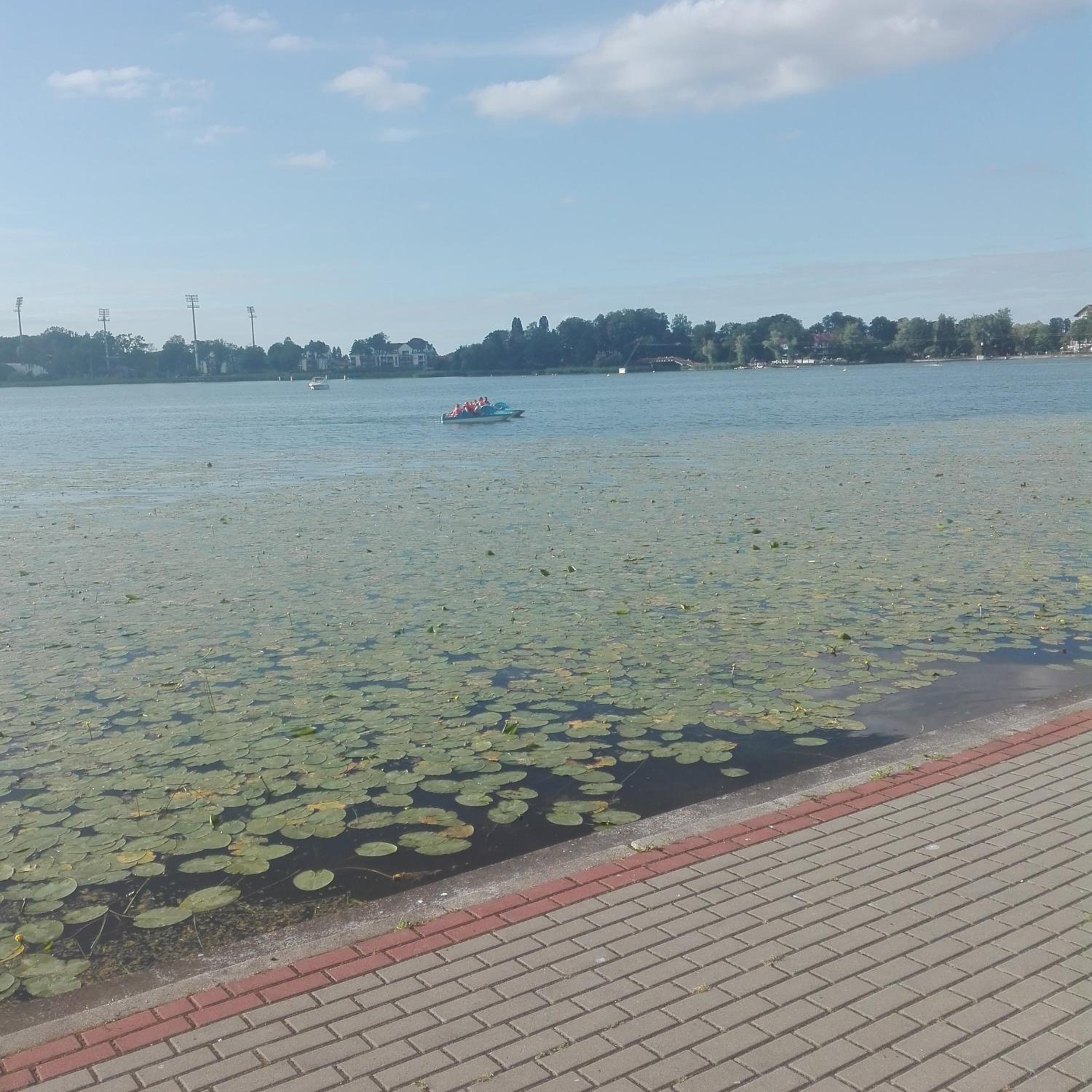 Przystań parking ogródek blisko jeziora i mariny dla jachtów