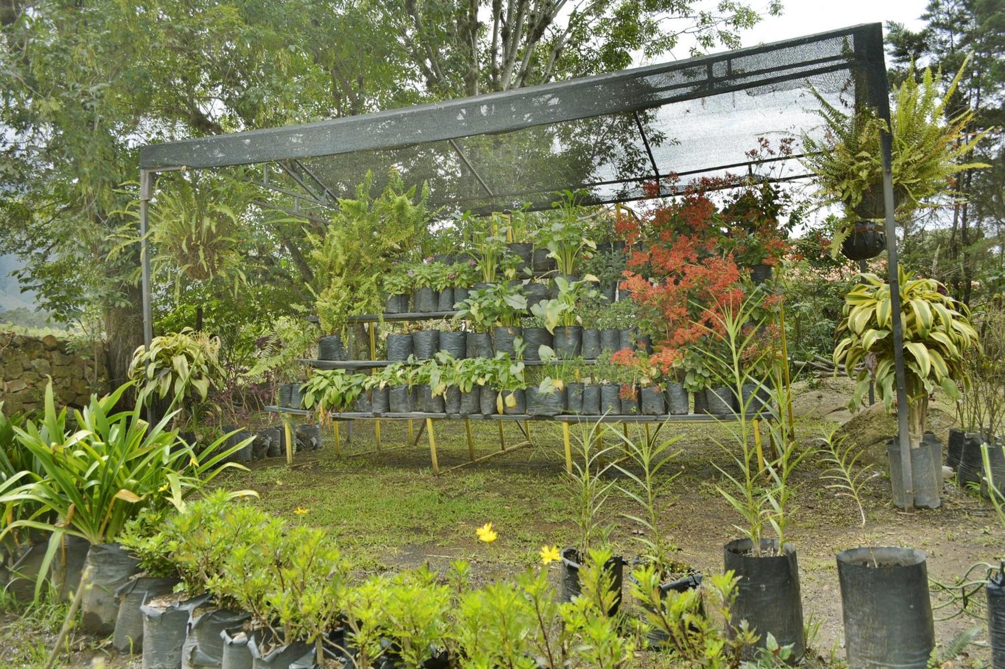 El Hayuelo Ecolodge