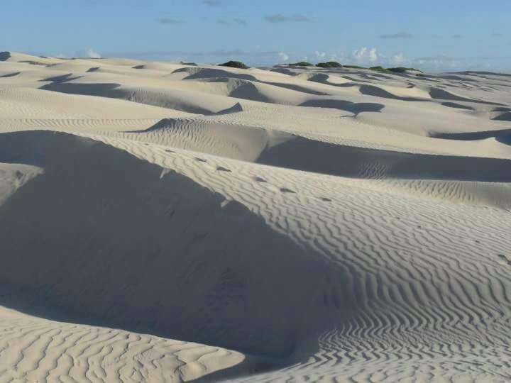 Photo 37