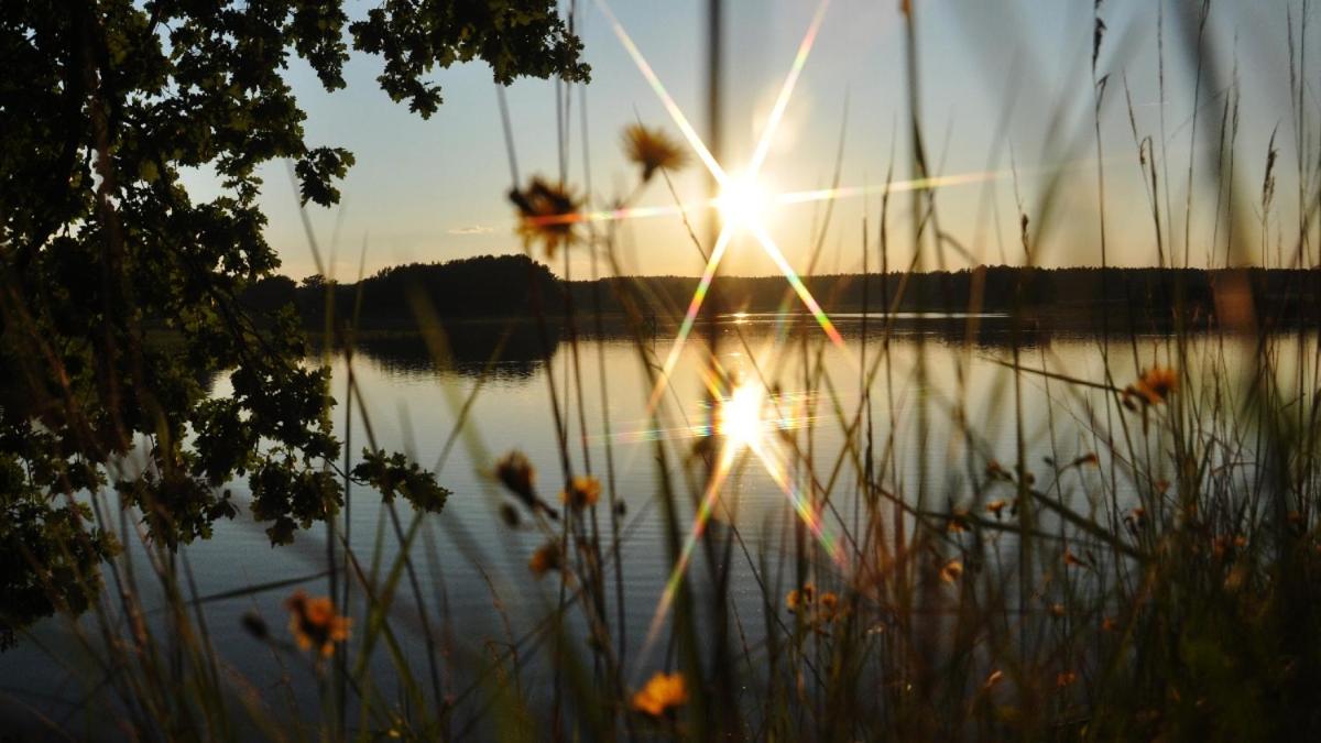 Penzion a wellness U Třeboňské madony