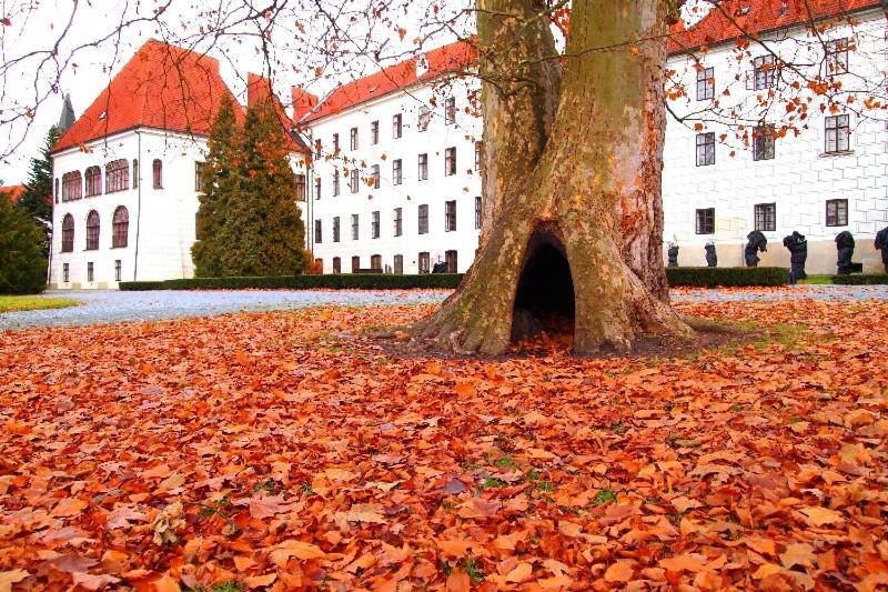 Penzion a wellness U Třeboňské madony