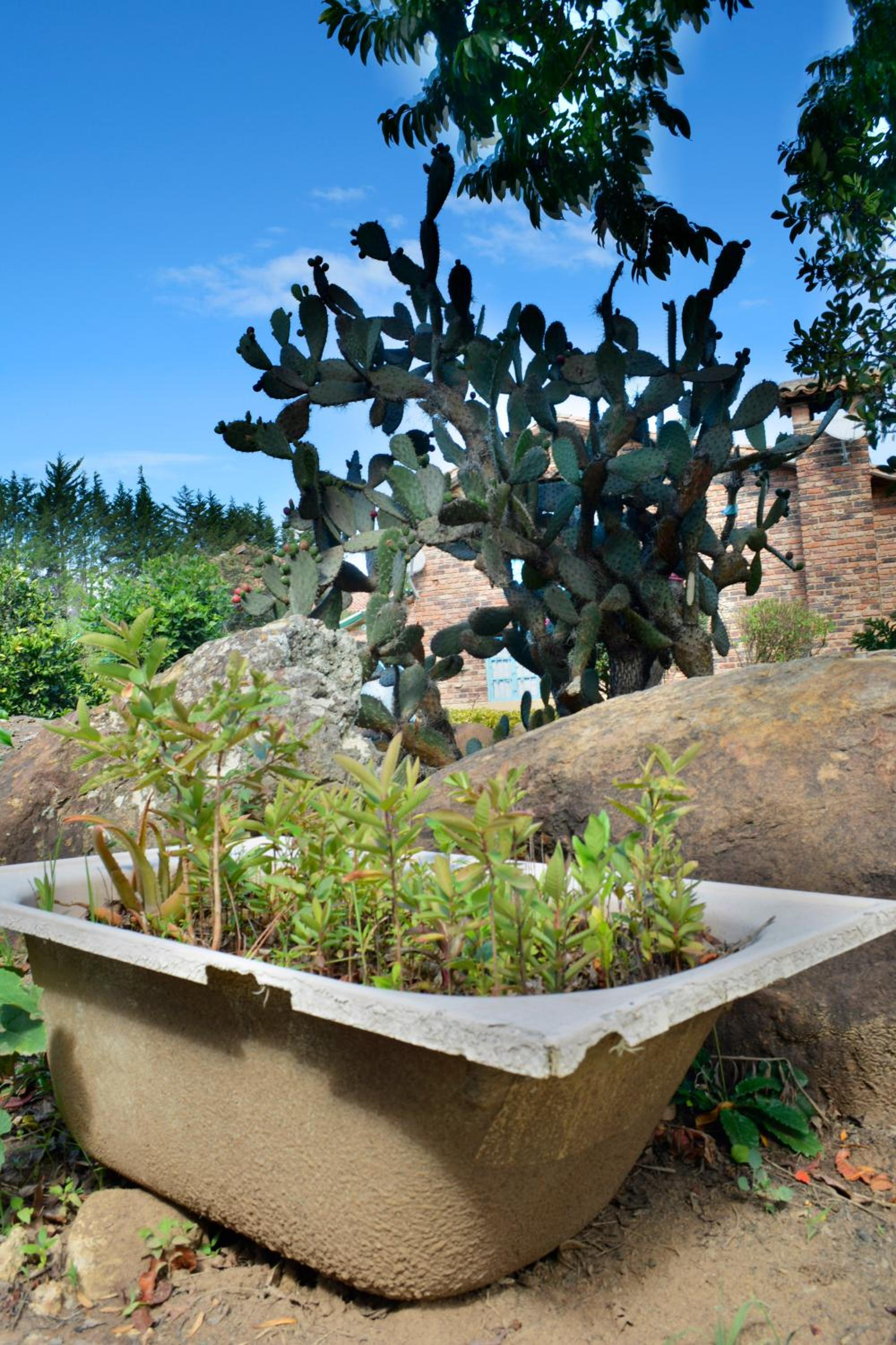 El Hayuelo Ecolodge