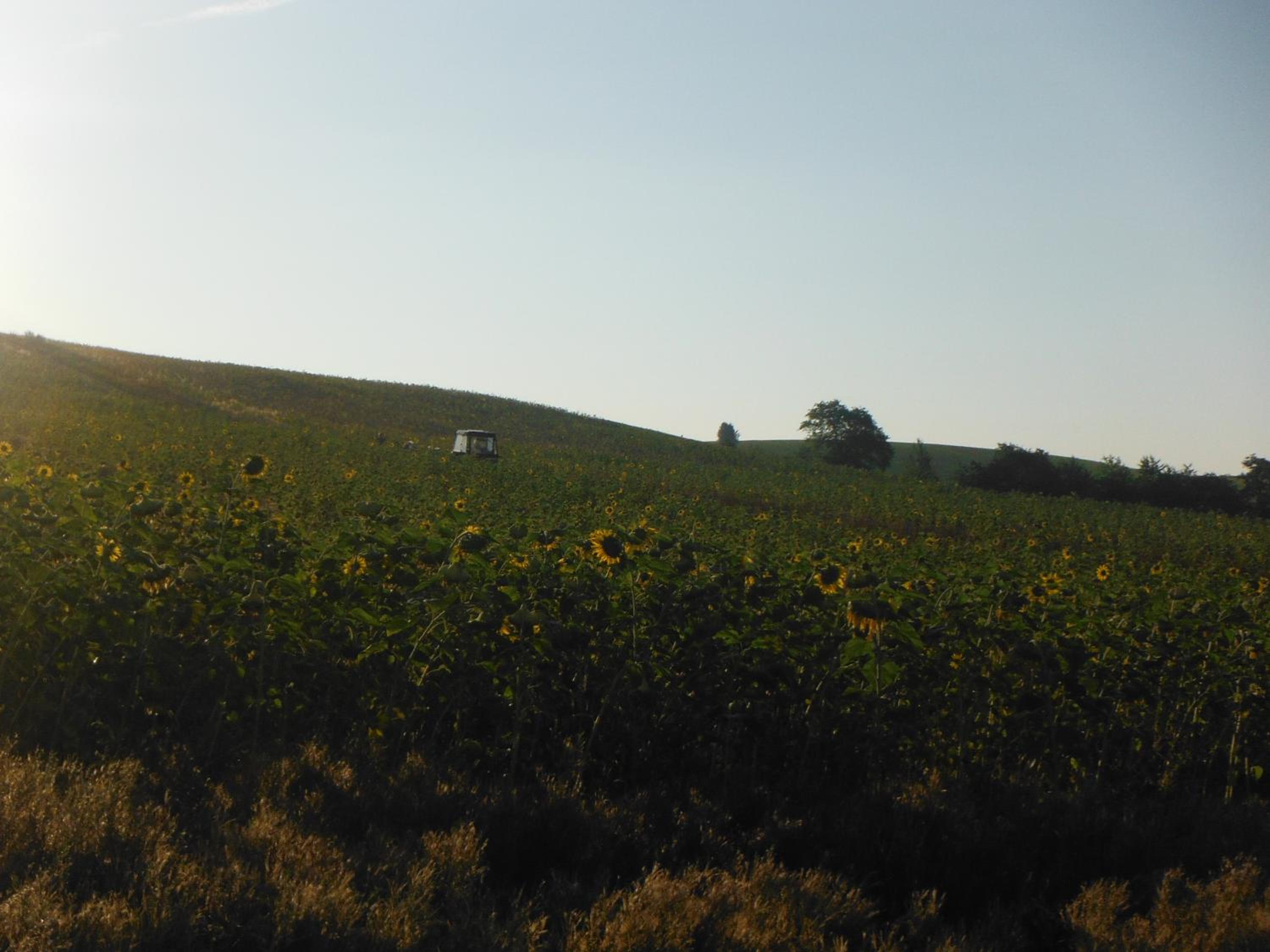 Ferienhaus Sonneneck view 3