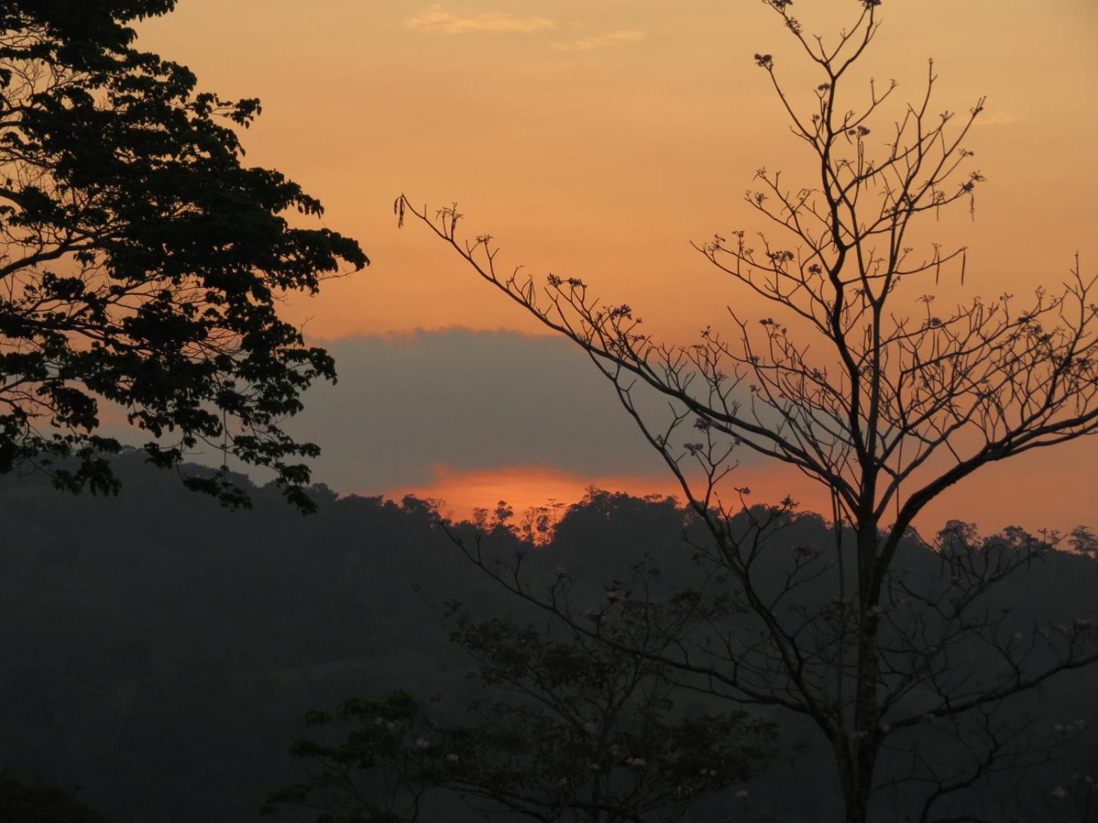 Vocaré Finca Agroecológica
