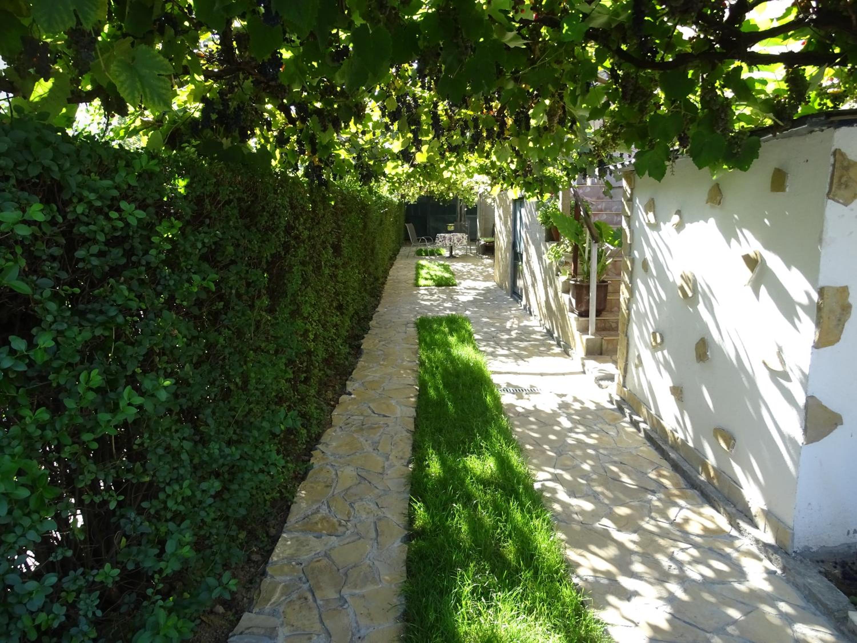 Photo 29