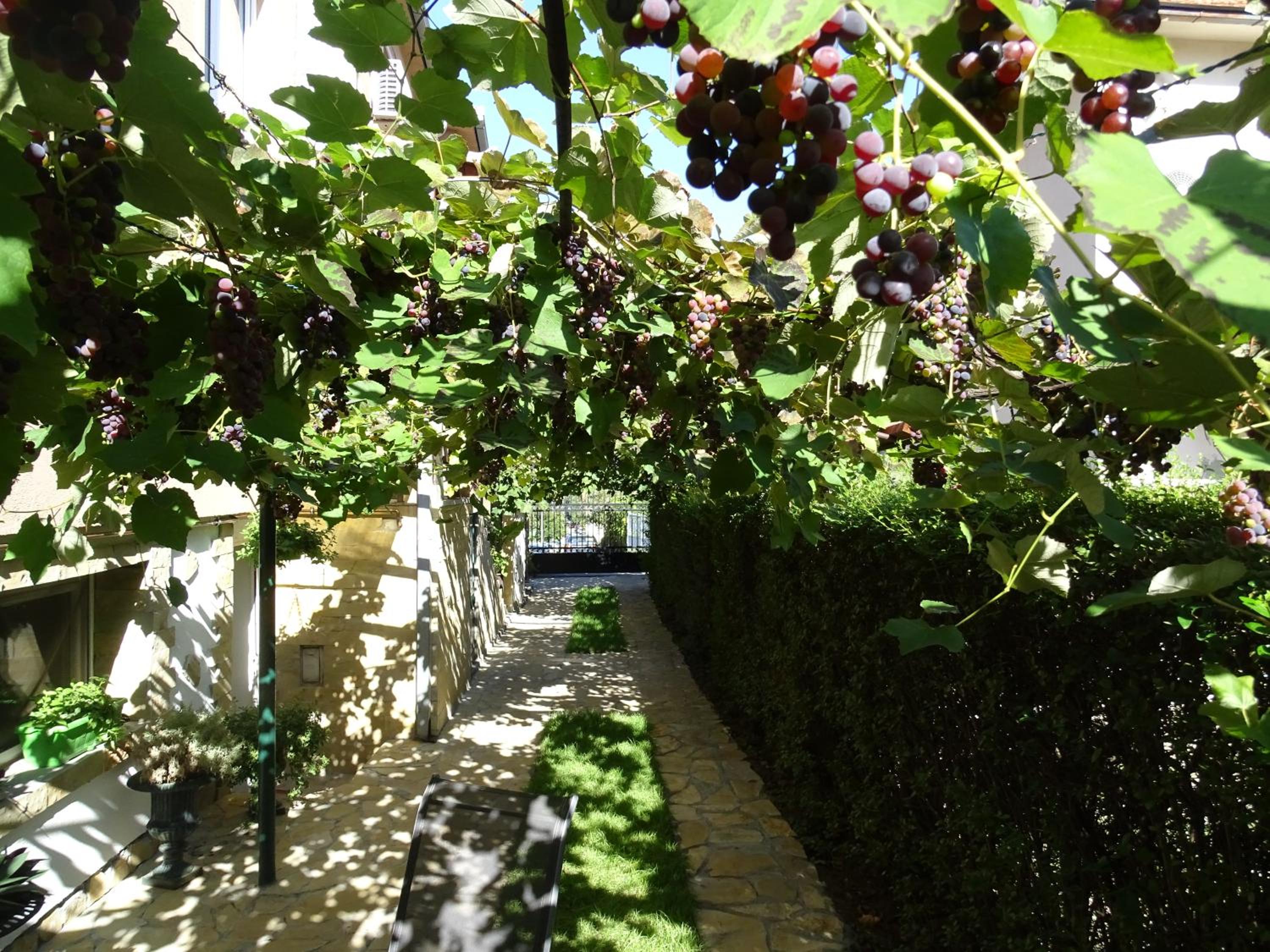 Photo 28