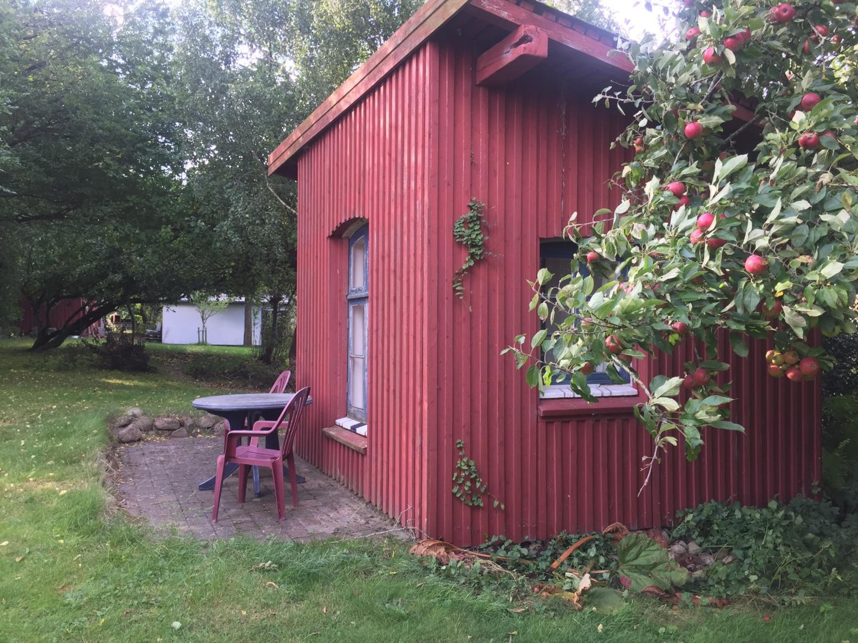 Photo 17