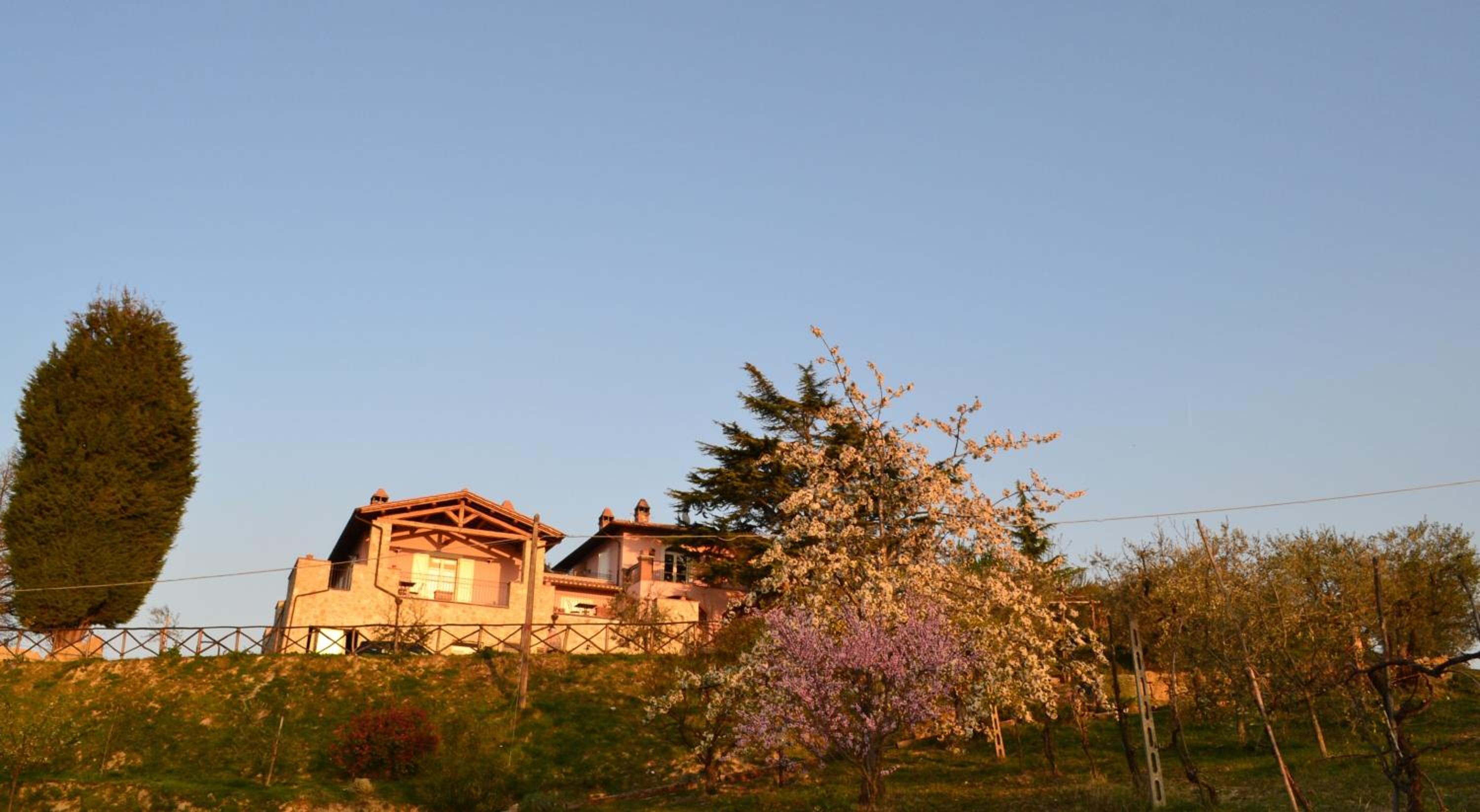 Photo 45