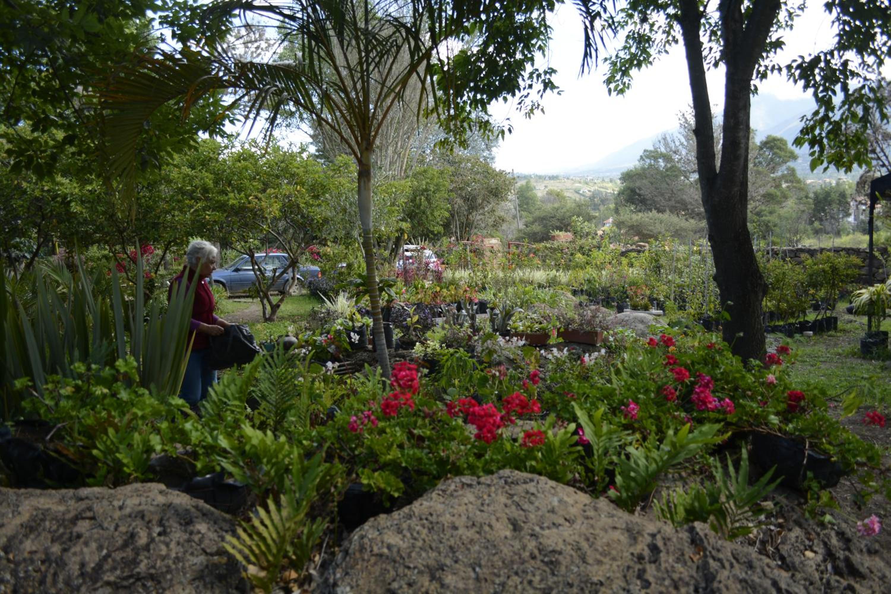 El Hayuelo Ecolodge