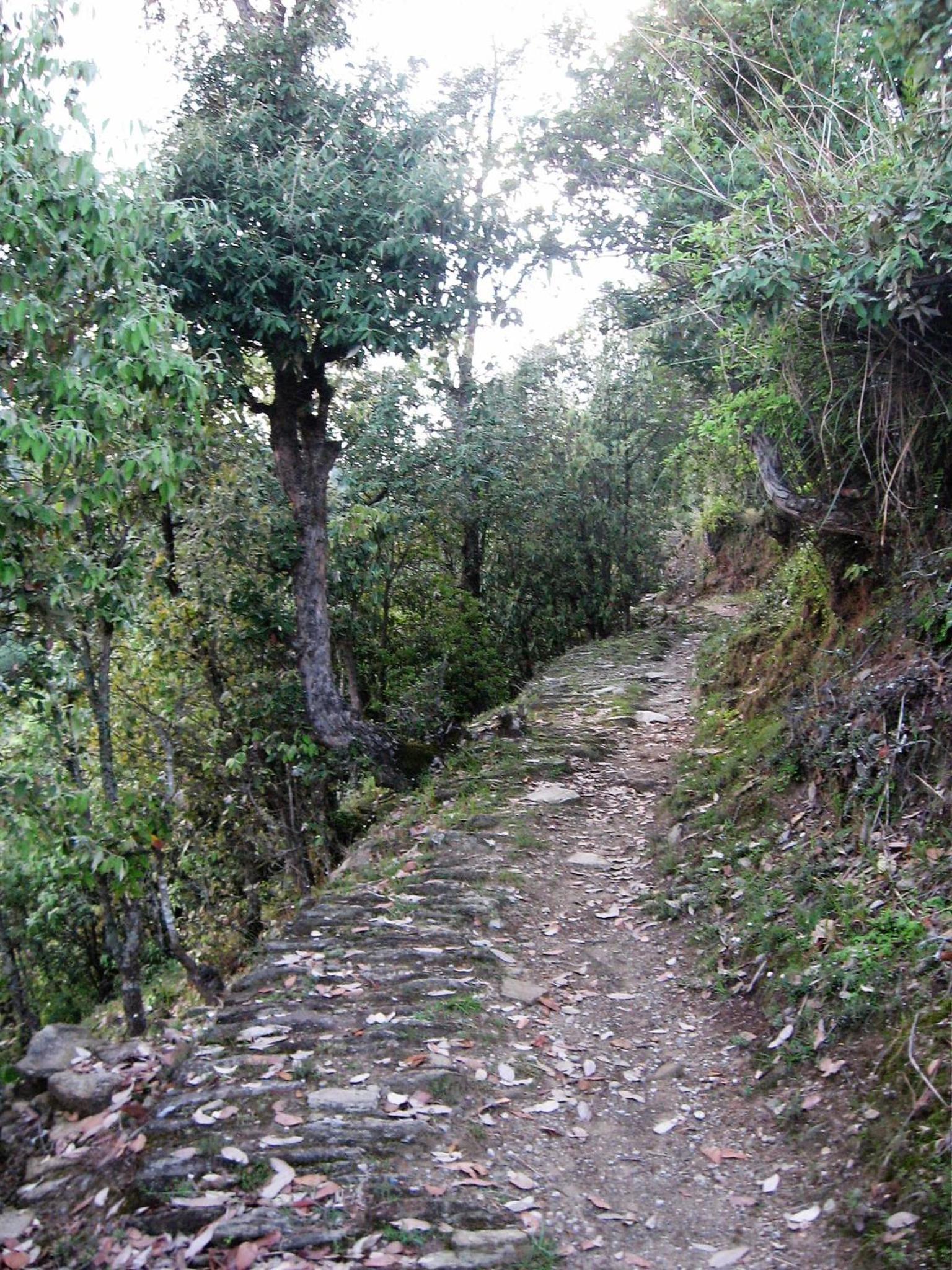 Photo 46
