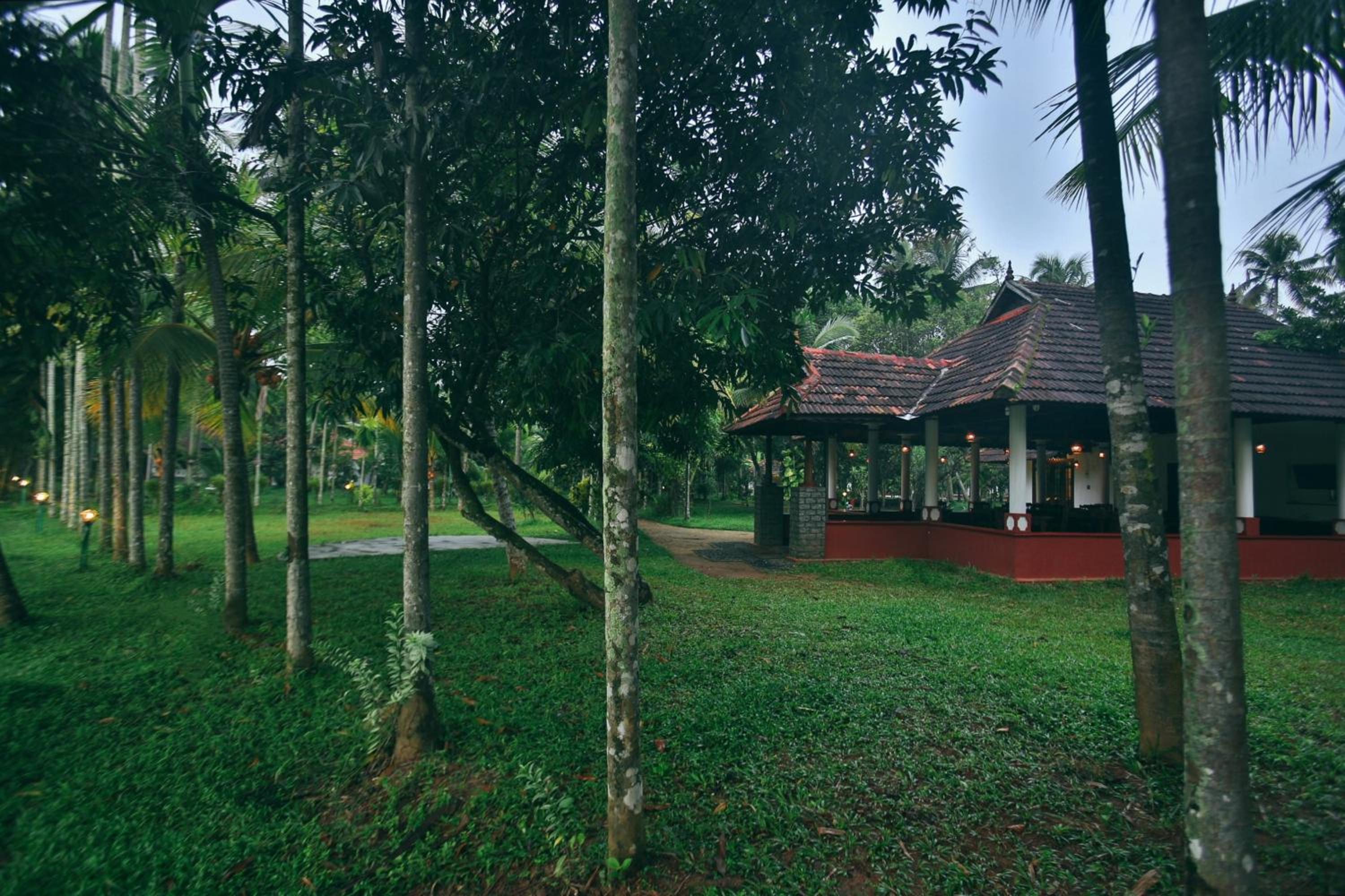Photo 27